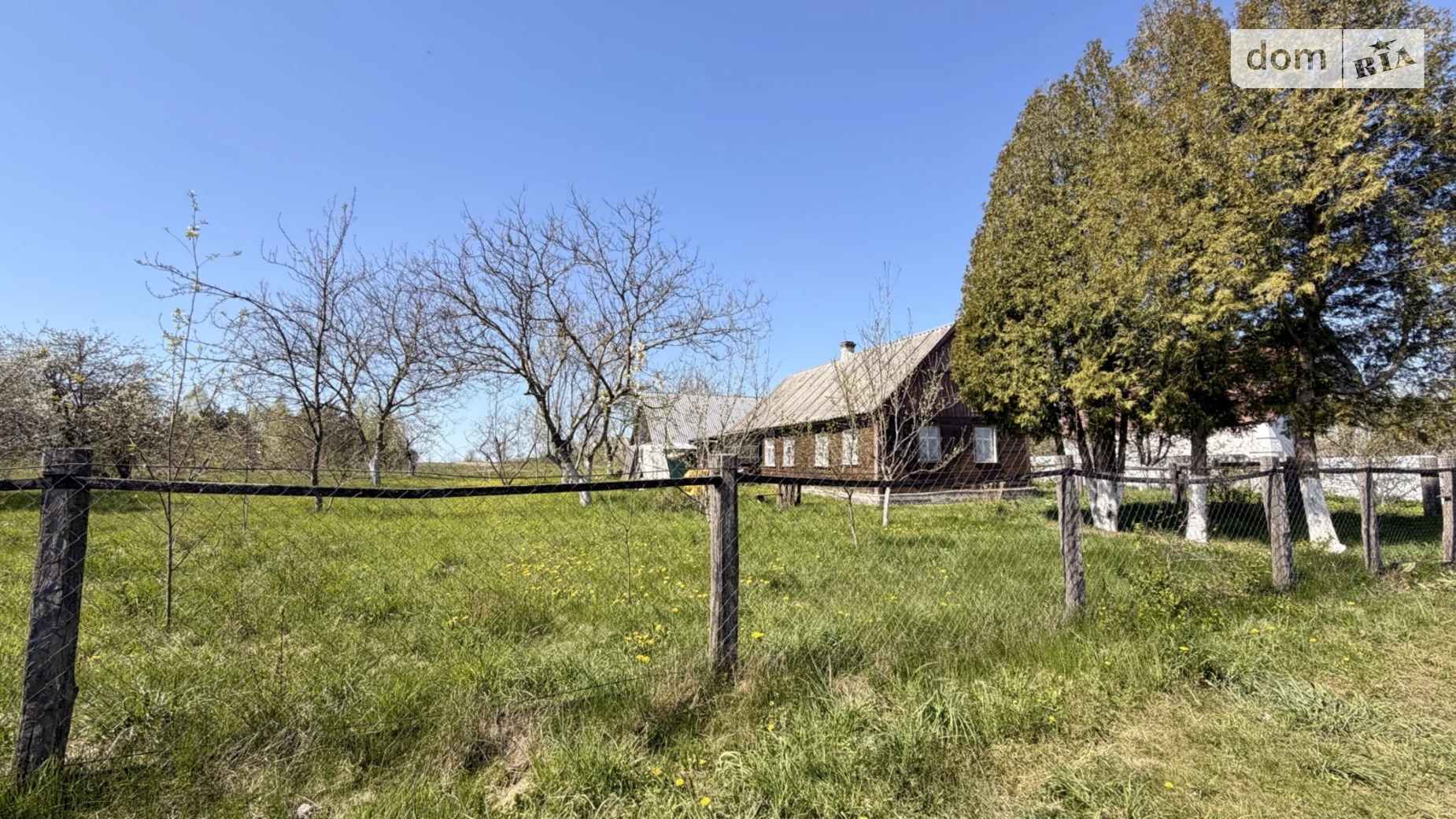 Франка Васильевка (Житомир), цена: 13000 $ - фото 4
