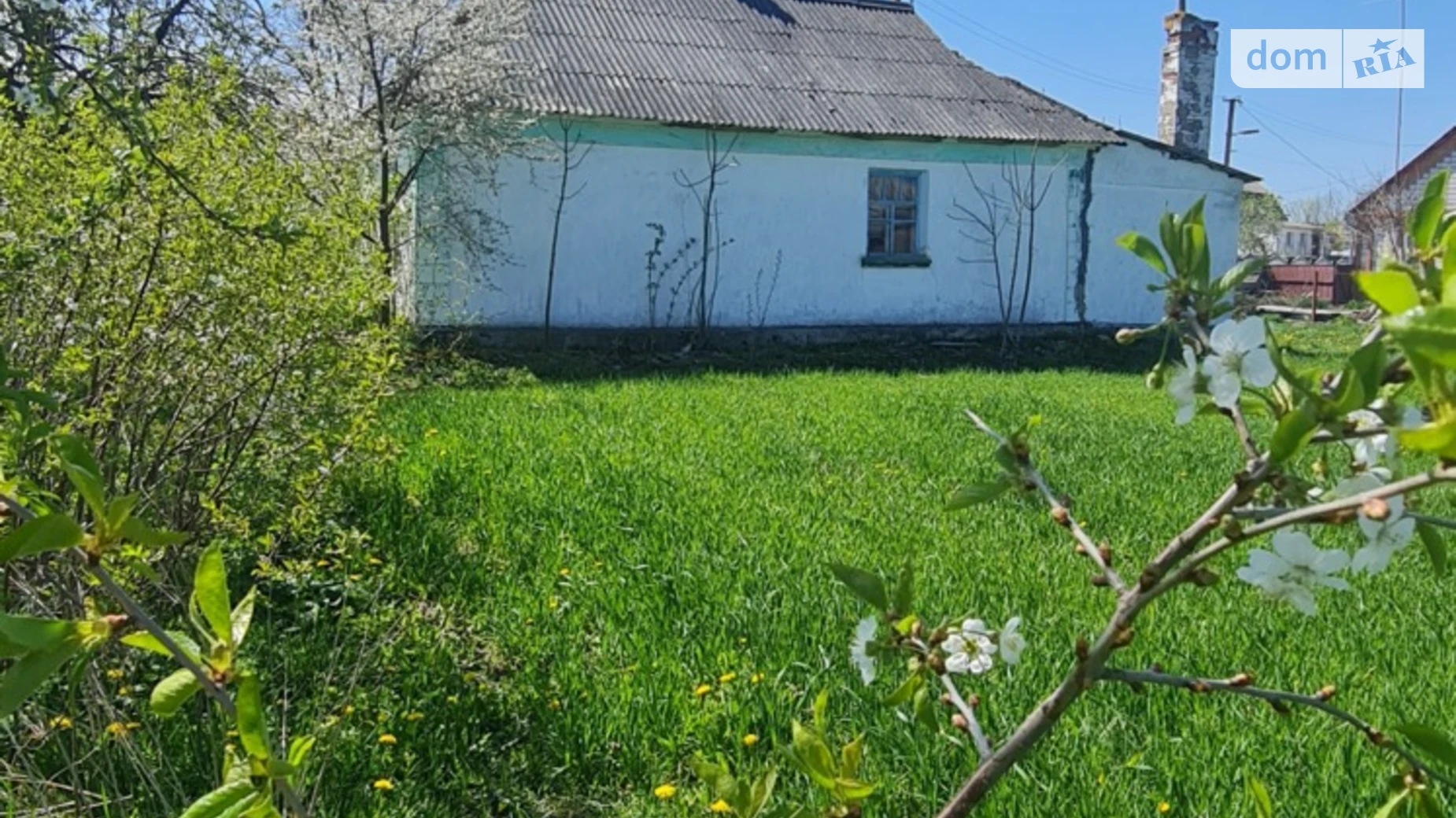 Продается земельный участок 50 соток в Винницкой области, цена: 28000 $ - фото 3