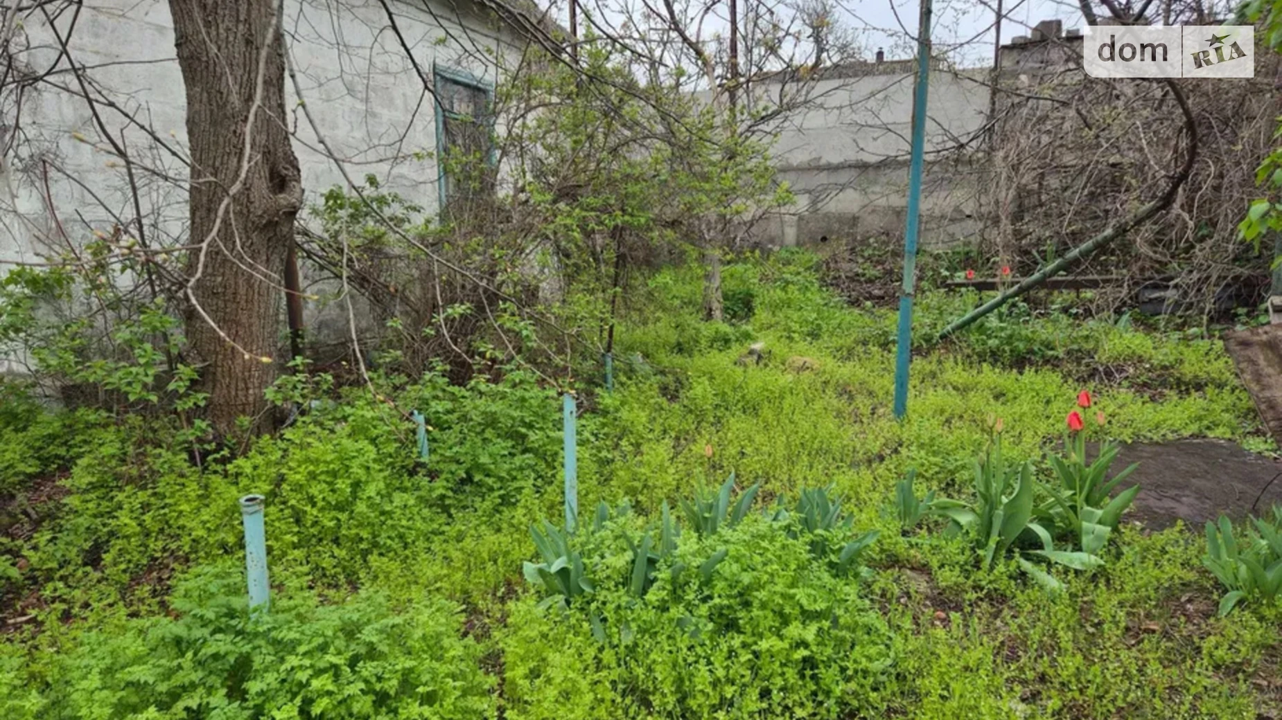 Продається одноповерховий будинок 30 кв. м з банею/сауною, цена: 9300 $ - фото 5