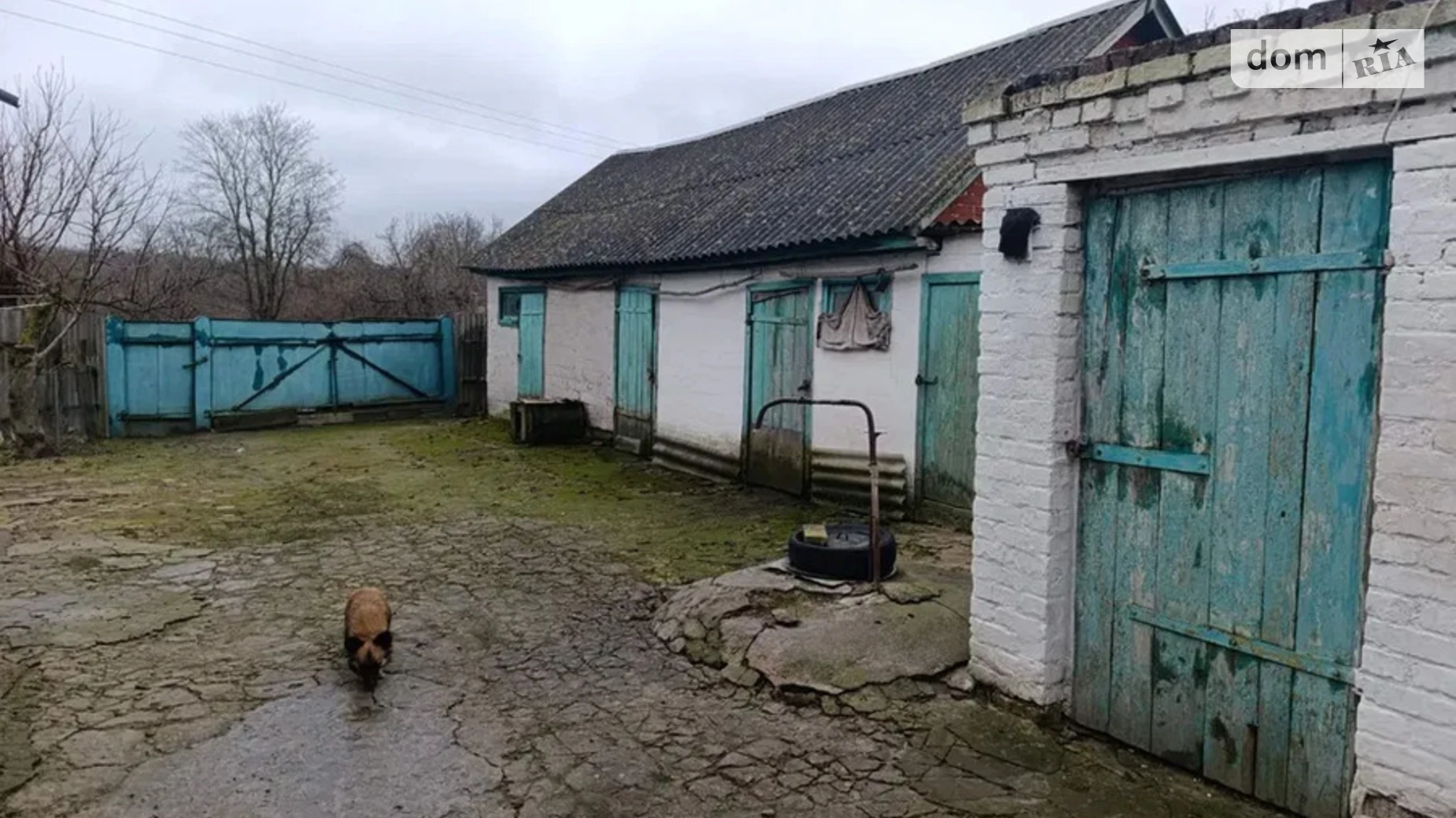 вул. Перемоги Голубівка, цена: 8200 $ - фото 4