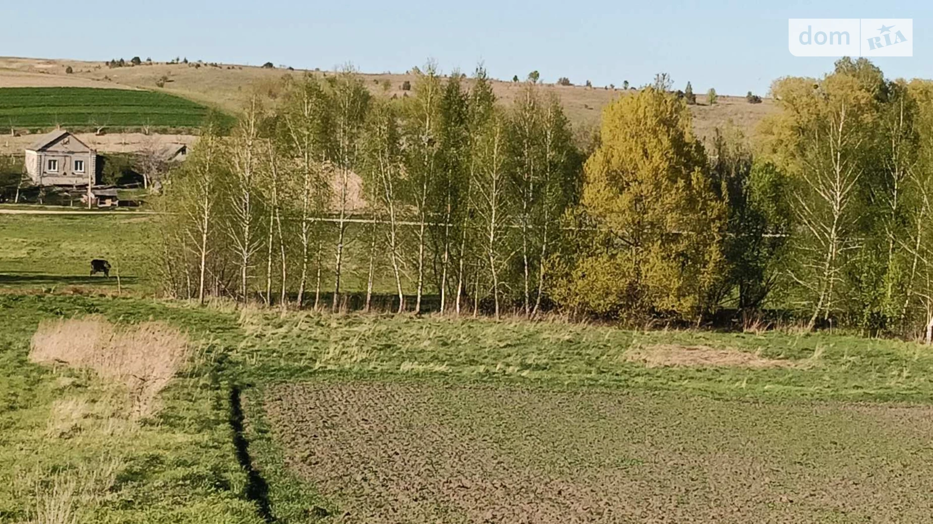 Щаслива Городище (Ровно), цена: 15000 $ - фото 2