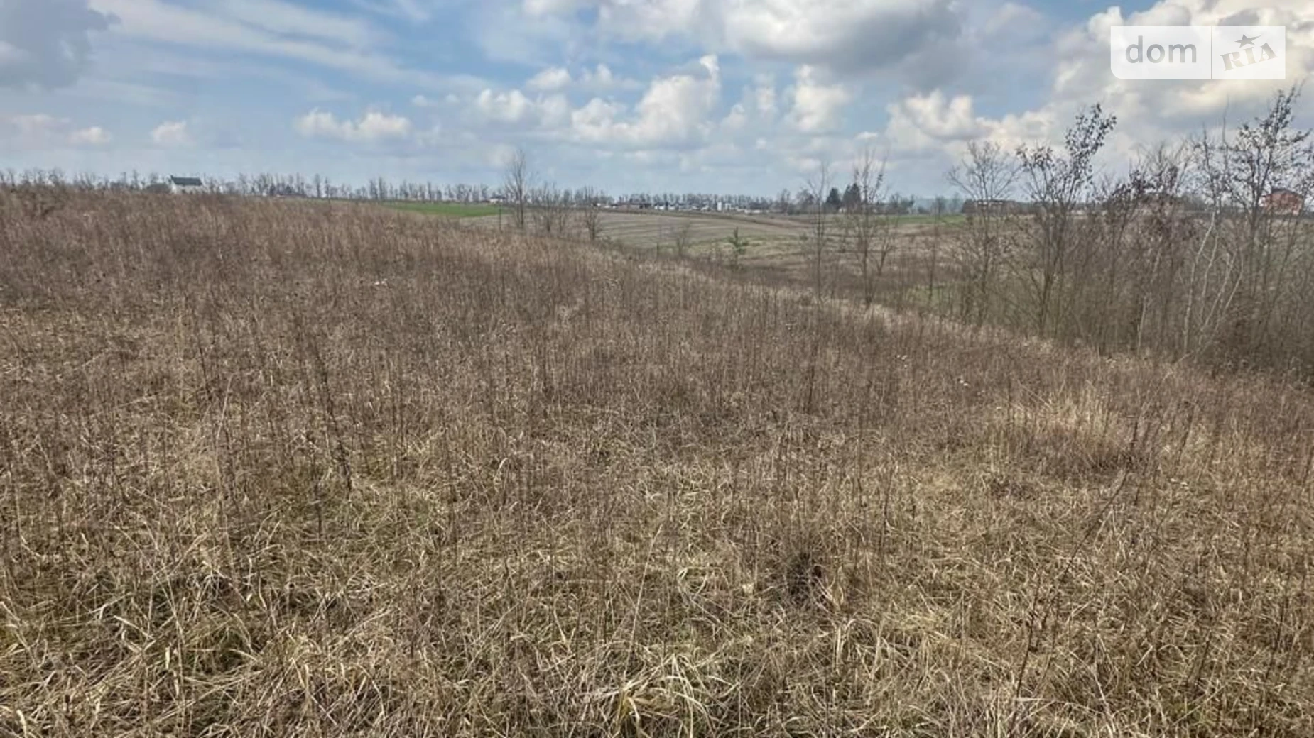 Бохоники, цена: 63595 грн - фото 2