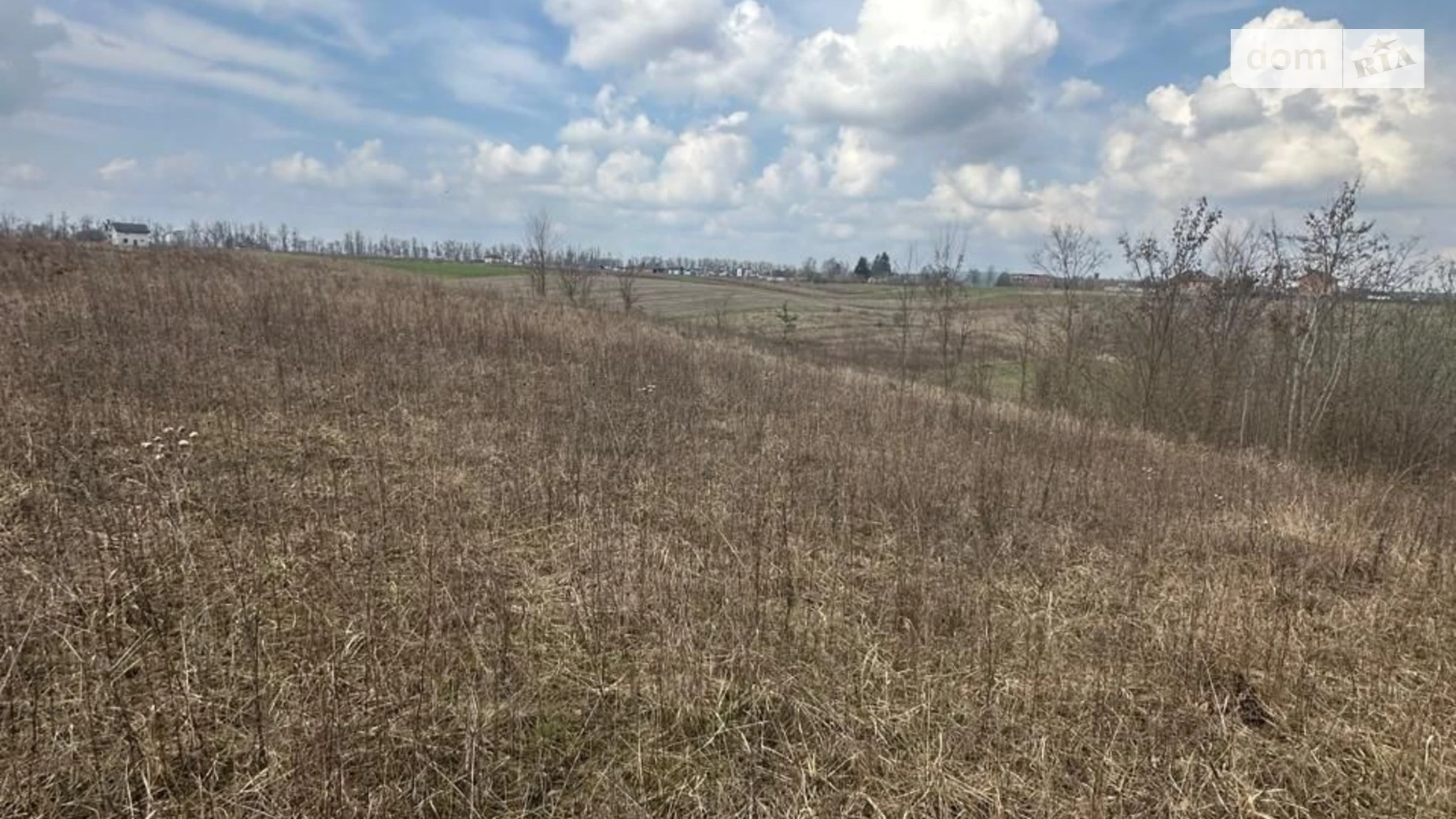 Бохоники, цена: 63595 грн - фото 3