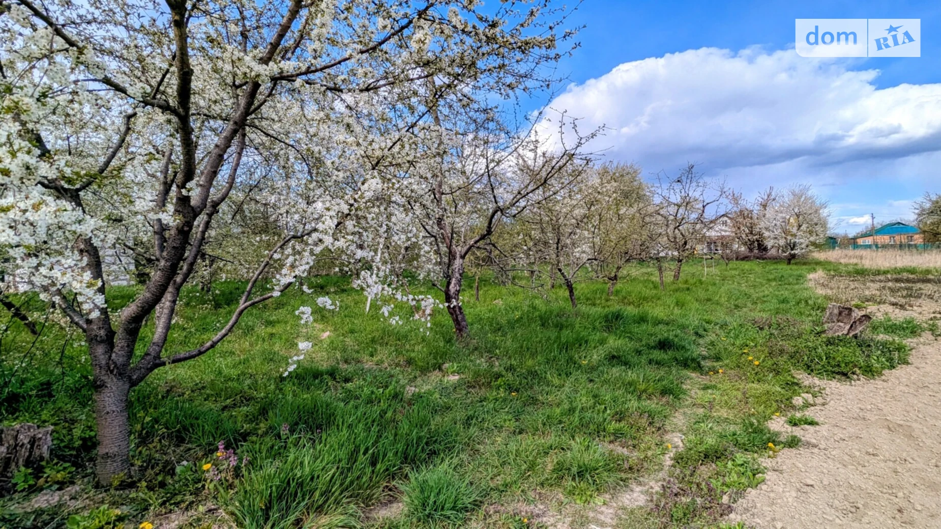 Продается земельный участок 12.6 соток в Винницкой области, цена: 42500 $ - фото 5