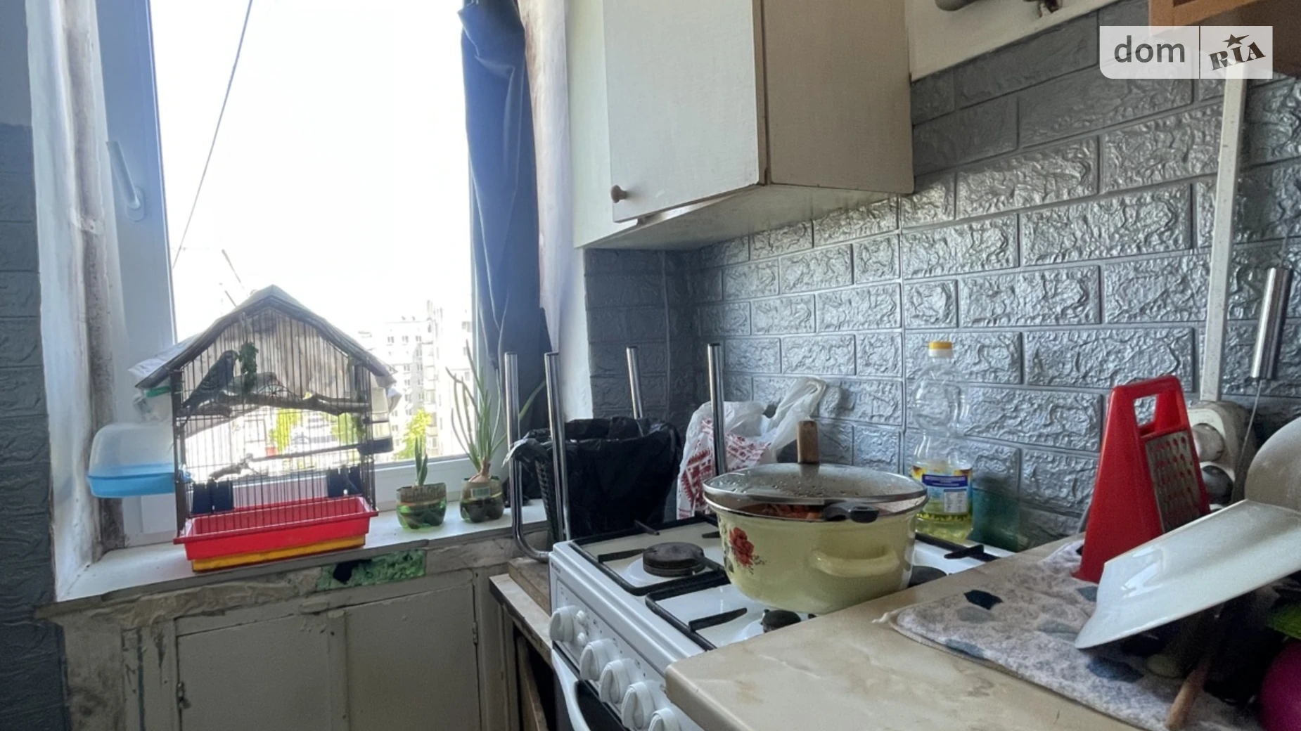 Продается 1-комнатная квартира 20.9 кв. м в Слобожанском, ул. Совхозная - фото 5