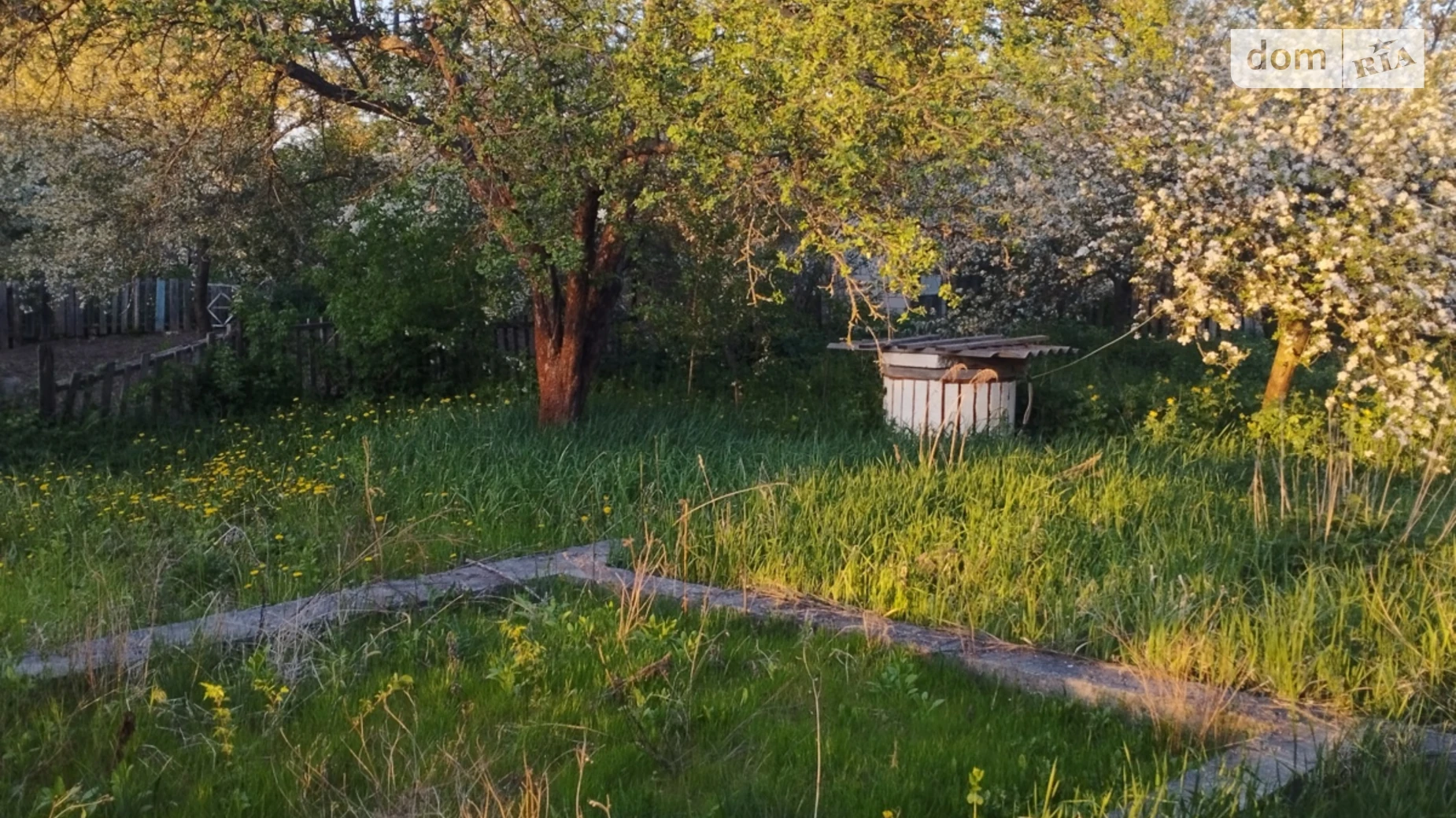 Продается одноэтажный дом 31 кв. м с беседкой, цена: 28500 $ - фото 3