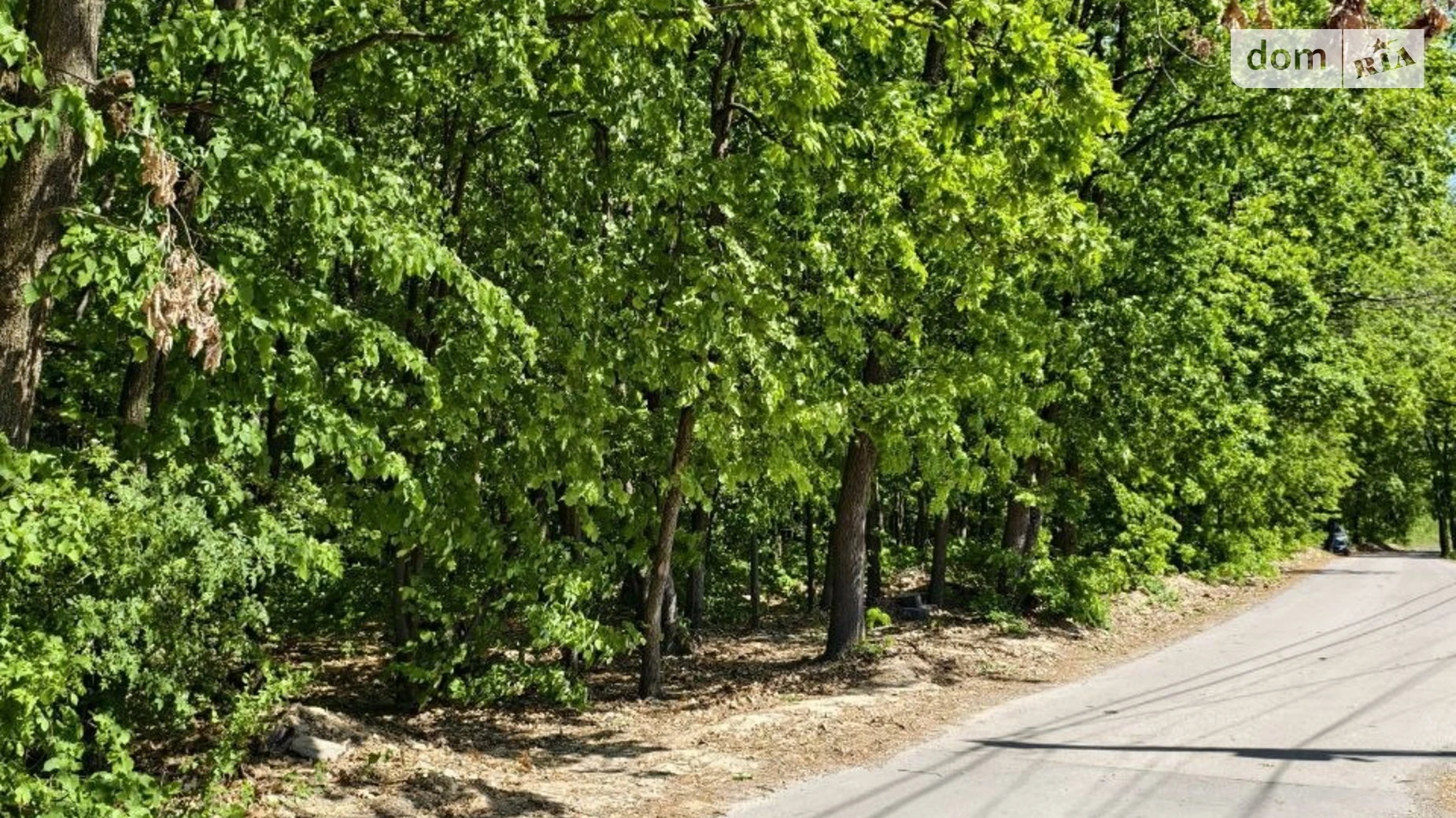 пер. Панорамный Червеница Ужгород, цена: 215000 $ - фото 2