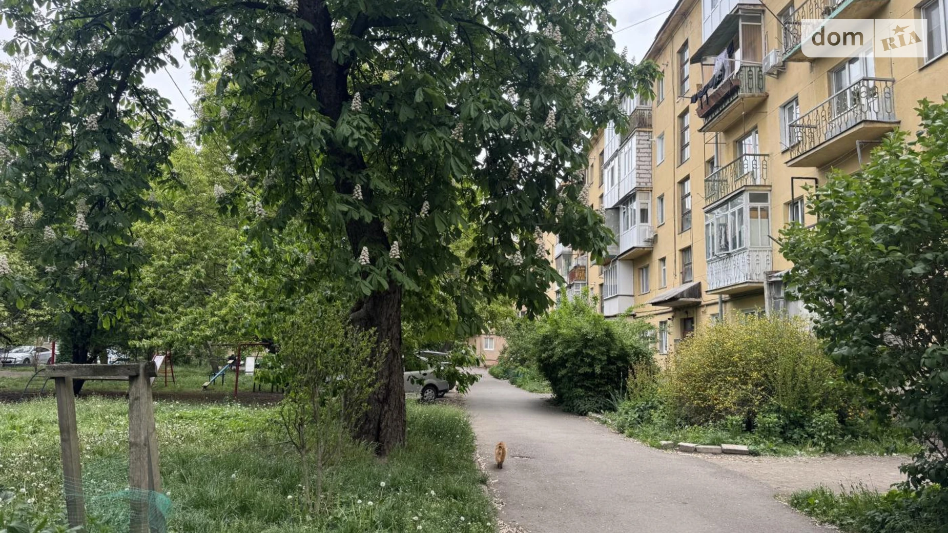 ул. Данила Короля, 9 Центр Ивано-Франковск, цена: 63000 $ - фото 3