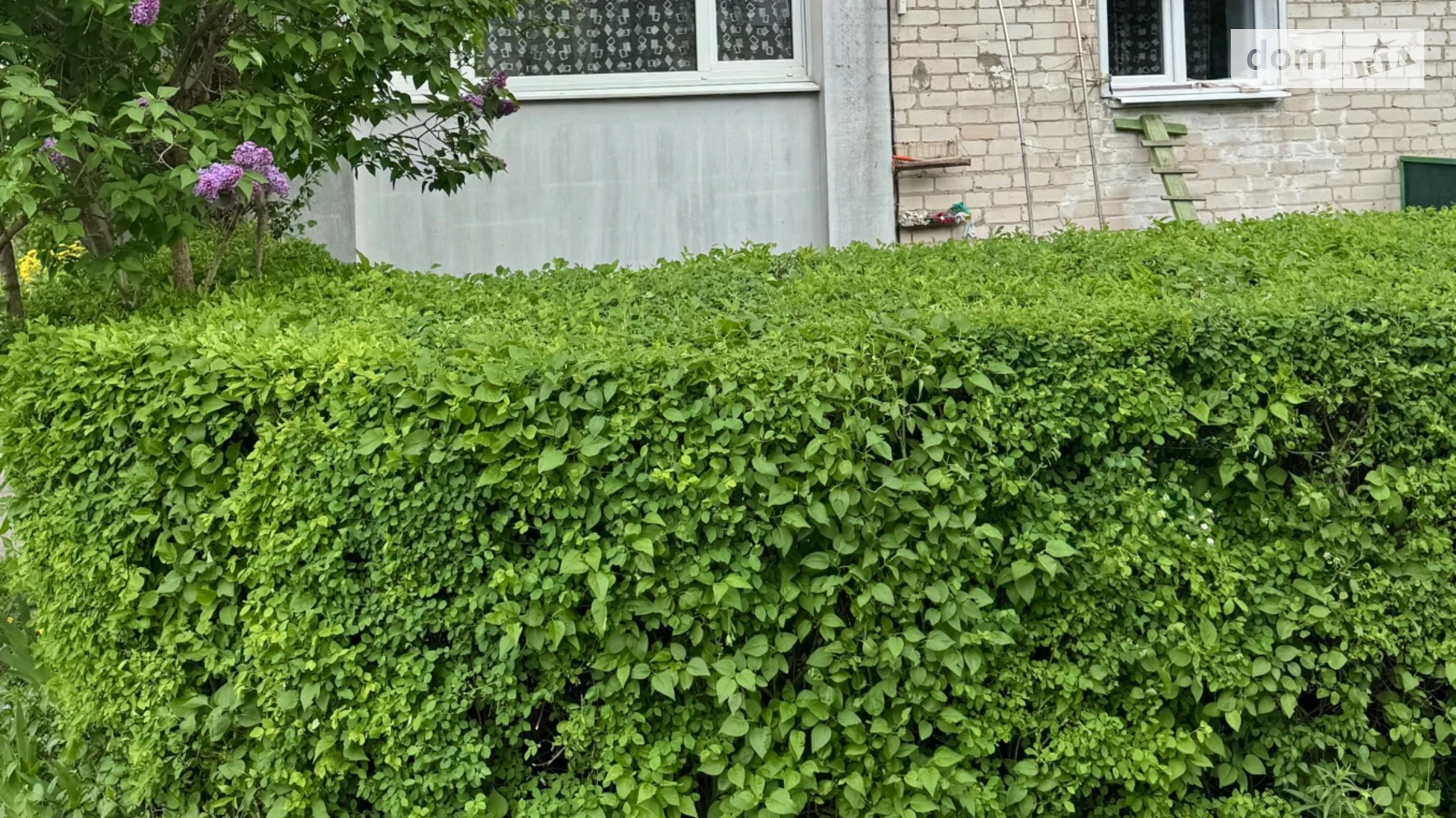 2-кімнатна квартира 53.8 кв. м у Луцьку, вул. Корольова, 11 - фото 4