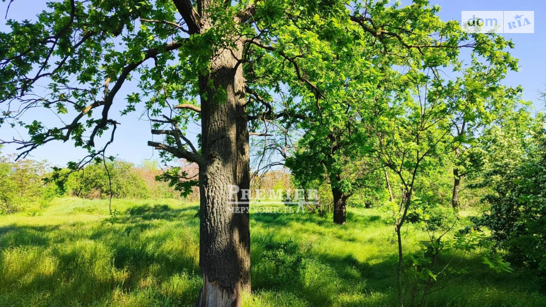 Продается земельный участок 144 соток в Одесской области, цена: 180000 $ - фото 5