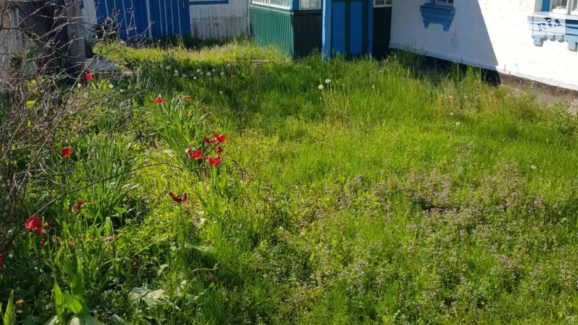 вулиця Мельників Куток Карабчиев, цена: 145000 грн - фото 4