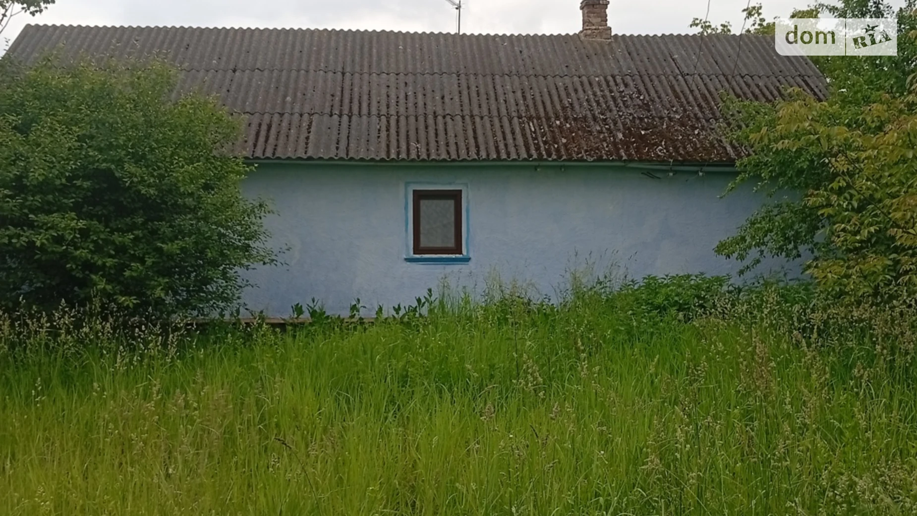 ул. Центральная, 49 Глубокая Долина, цена: 6000 $ - фото 3