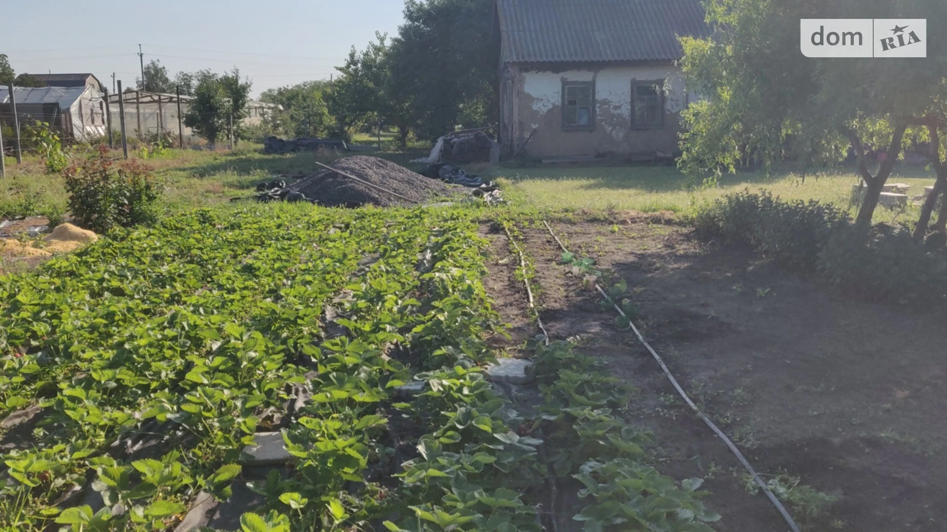 Продається земельна ділянка 25.09 соток у Черкаській області, цена: 9000 $ - фото 3