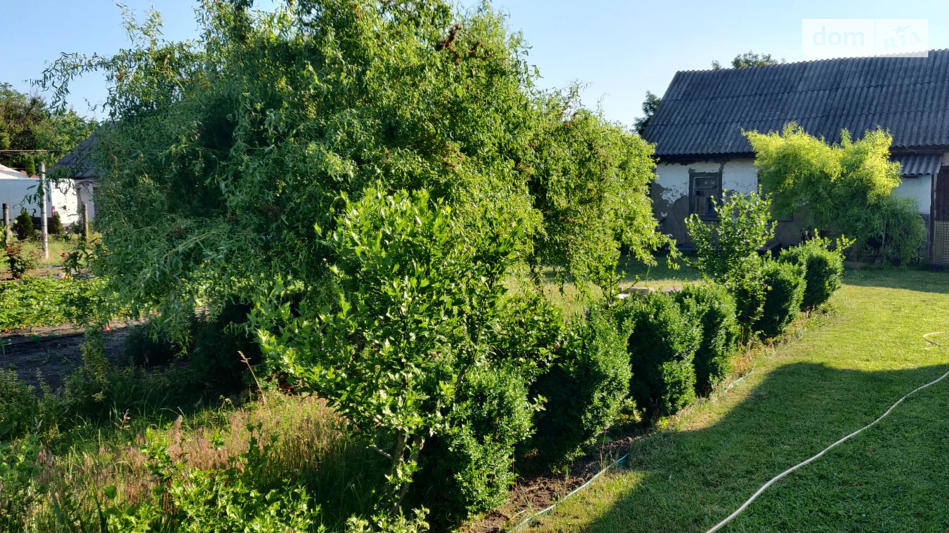 Продається земельна ділянка 25.09 соток у Черкаській області, цена: 9000 $ - фото 4