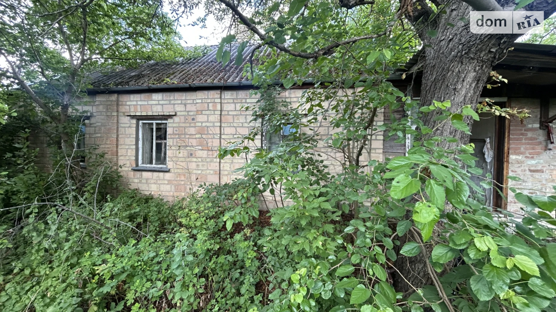 Продается одноэтажный дом 80 кв. м с беседкой, цена: 75000 $ - фото 5
