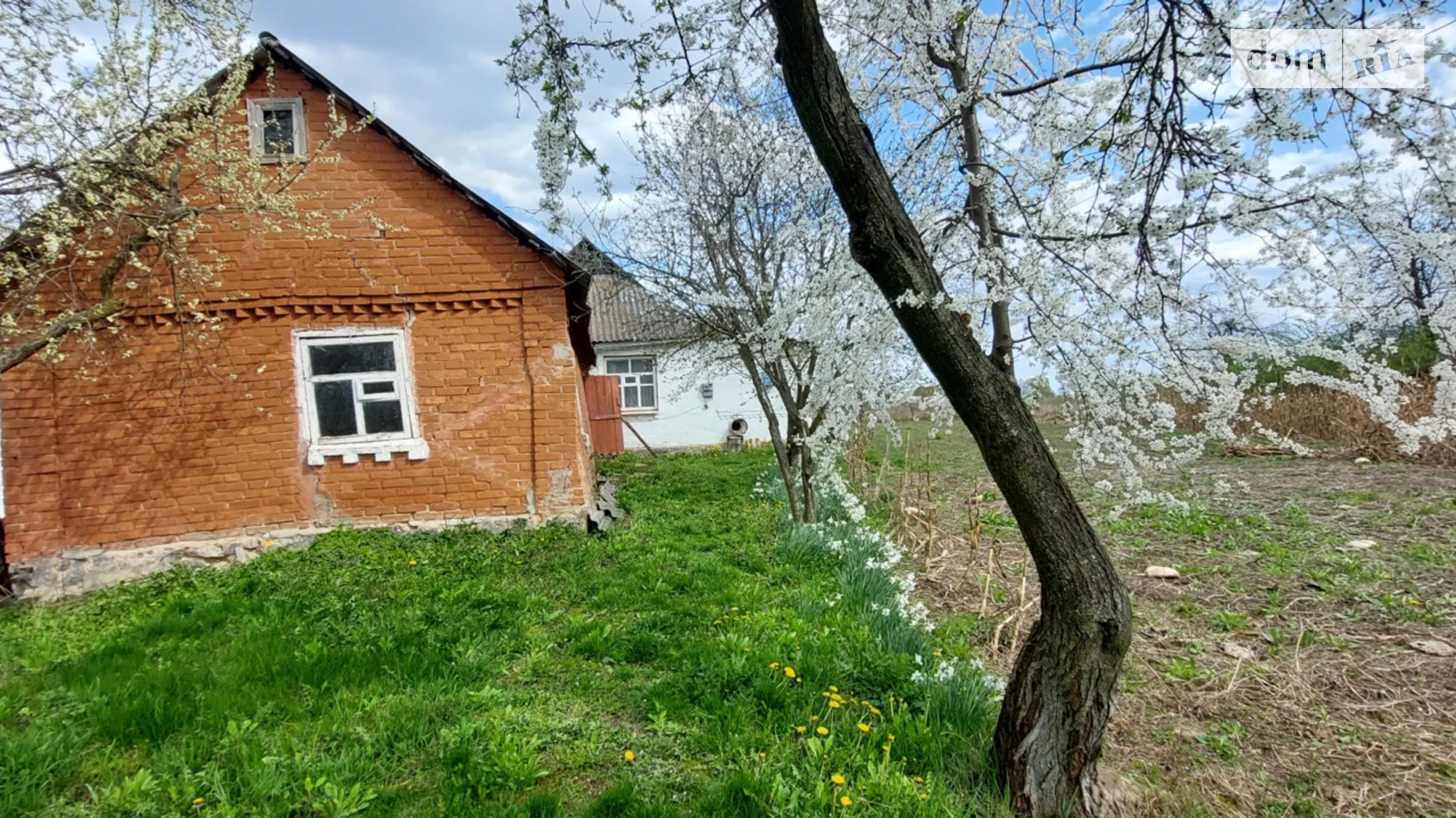 Продается одноэтажный дом 57.1 кв. м с террасой, цена: 12000 $ - фото 3