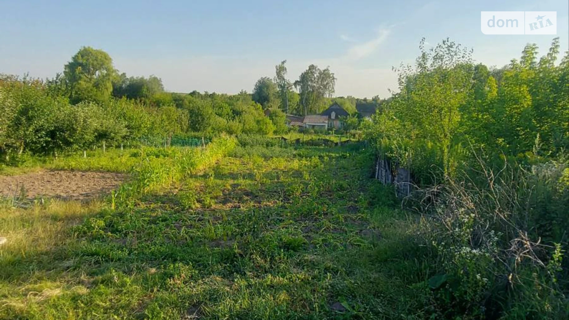 Продается земельный участок 10 соток в Винницкой области, цена: 10500 $ - фото 4