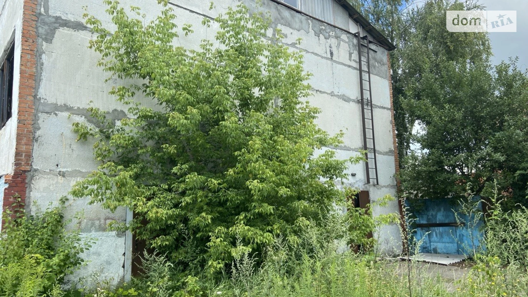 Продается объект сферы услуг 64.8 кв. м в 2-этажном здании, цена: 38000 $ - фото 5