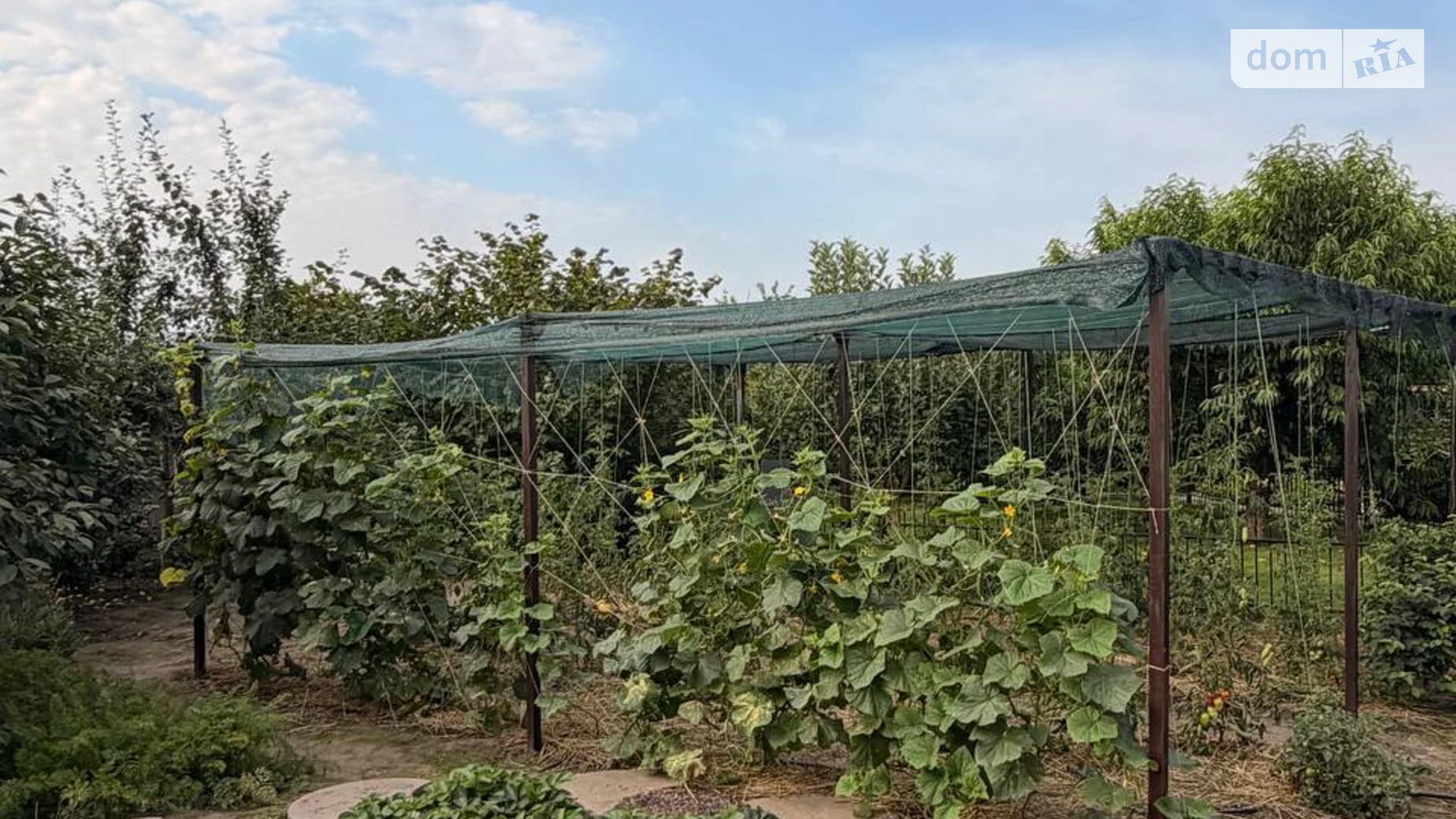 Продается одноэтажный дом 68 кв. м с садом, цена: 65000 $ - фото 4
