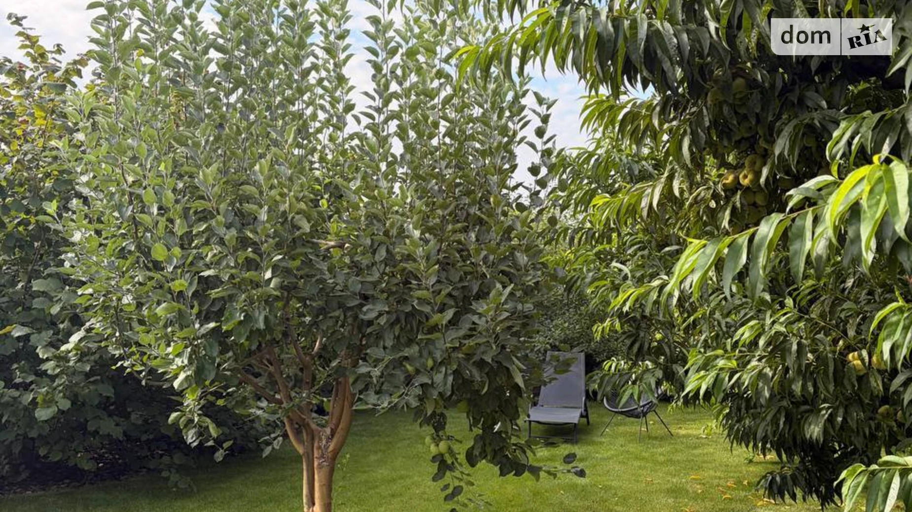 Продается одноэтажный дом 68 кв. м с садом, цена: 65000 $ - фото 5
