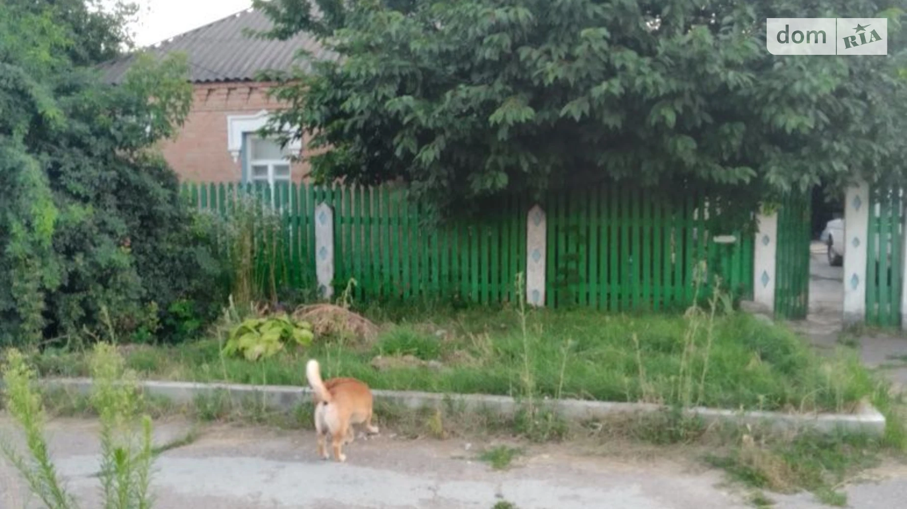 Продается одноэтажный дом 83.3 кв. м с подвалом, цена: 35000 $ - фото 5