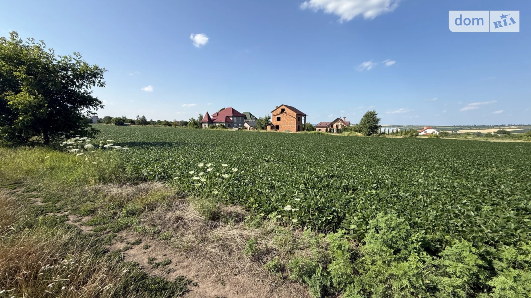 Продается земельный участок 25 соток в Черновицкой области, цена: 25000 $ - фото 3