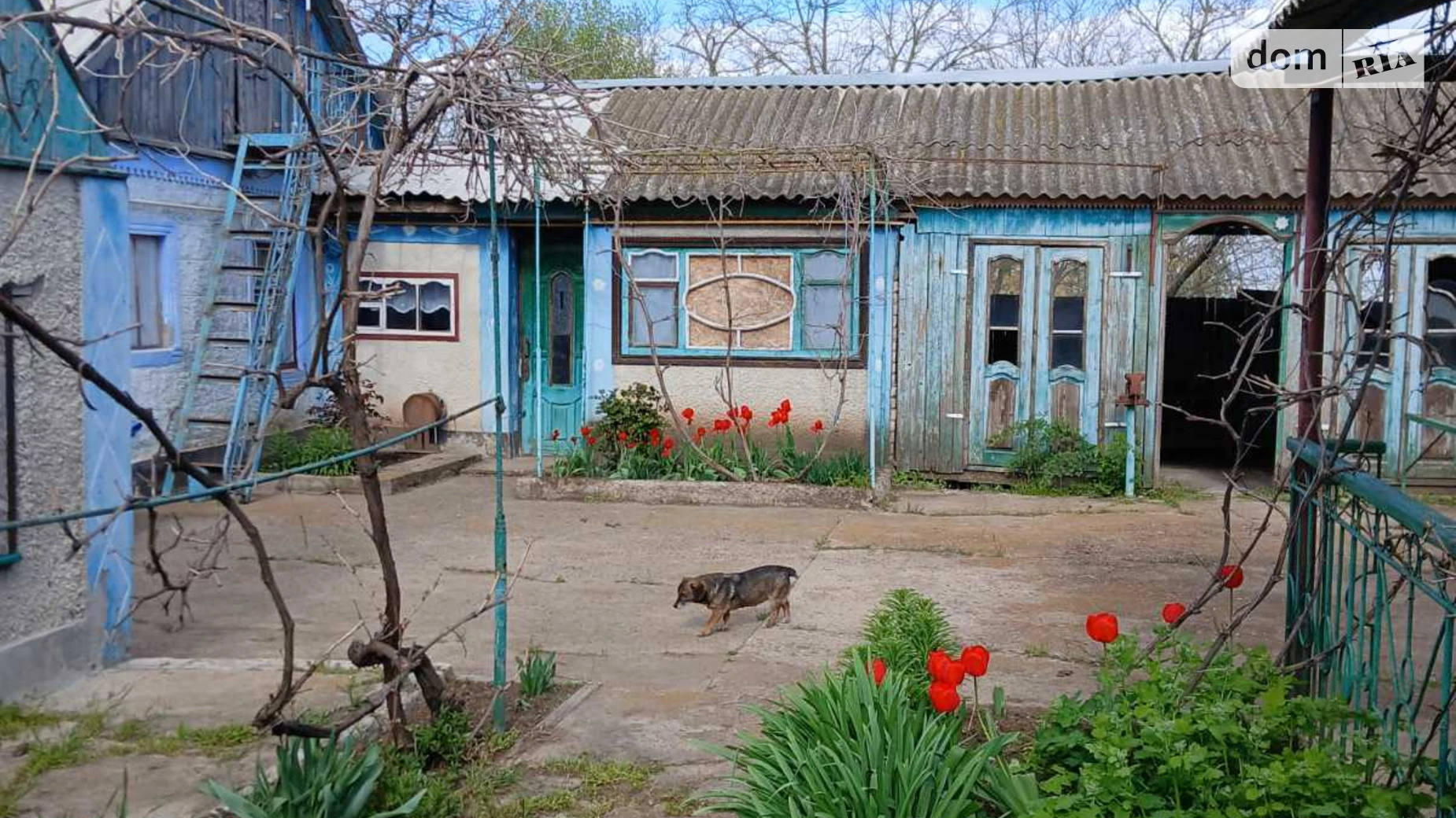 Продается одноэтажный дом 83 кв. м с подвалом, цена: 9000 $ - фото 5