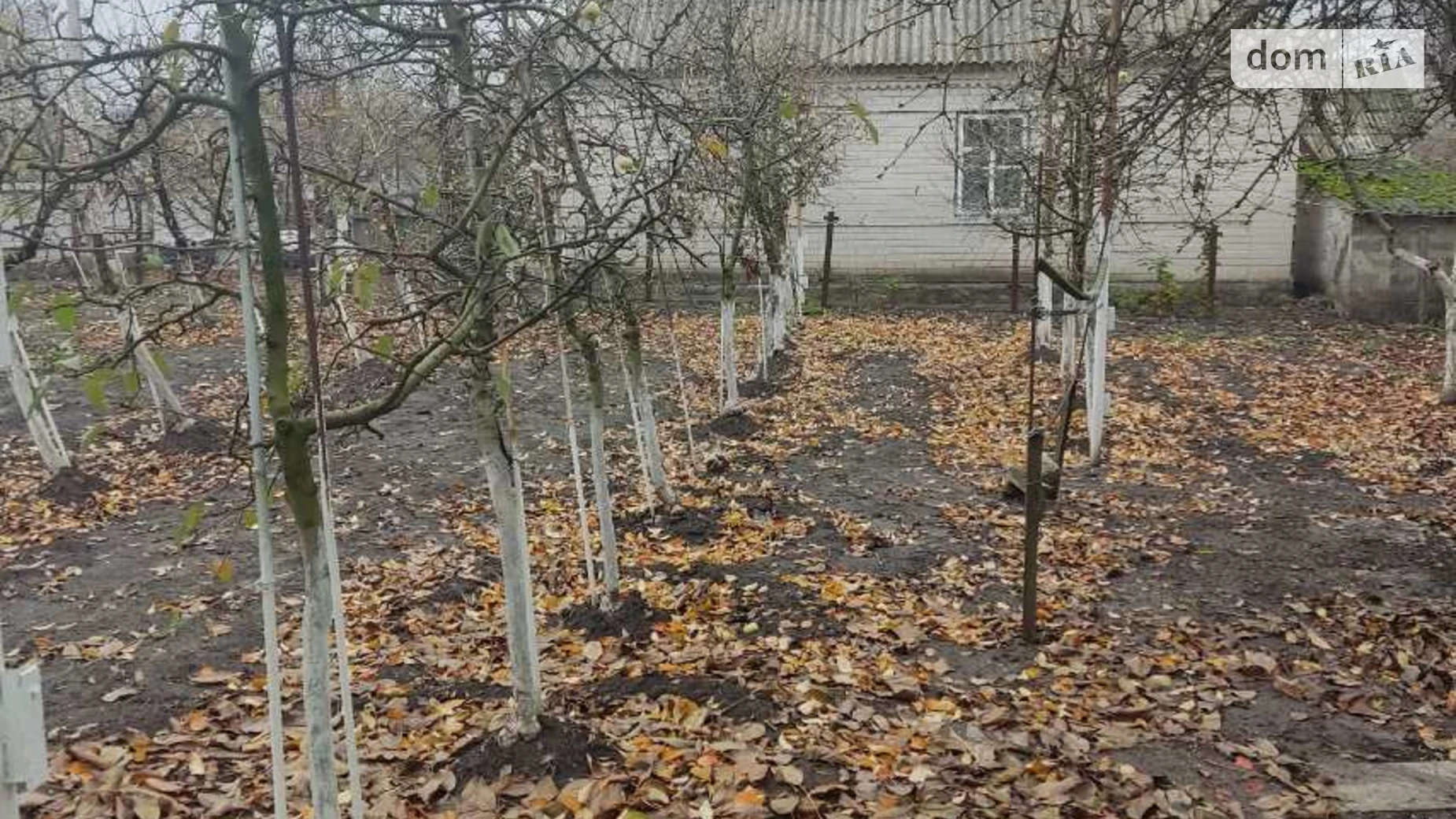 Продається одноповерховий будинок 64 кв. м з подвалом, цена: 11000 $ - фото 4