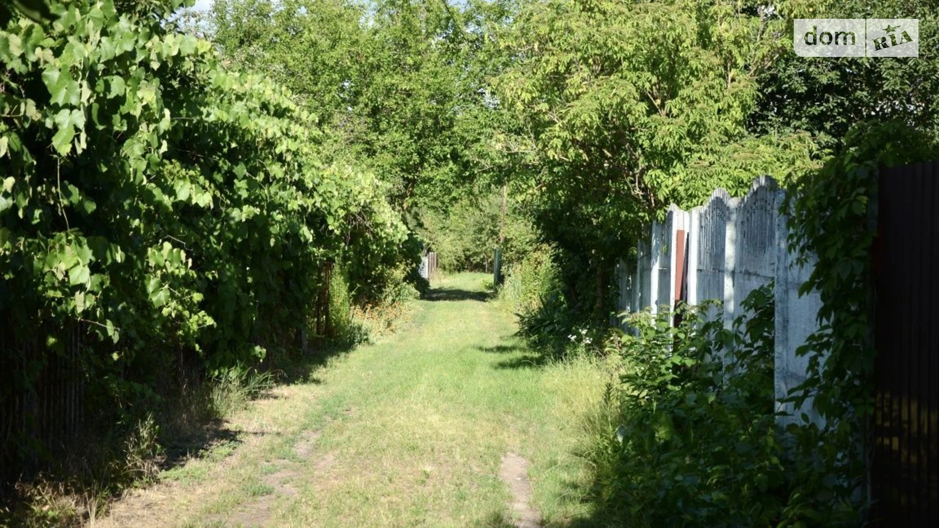 Продается одноэтажный дом 45 кв. м с бассейном, цена: 12000 $ - фото 4
