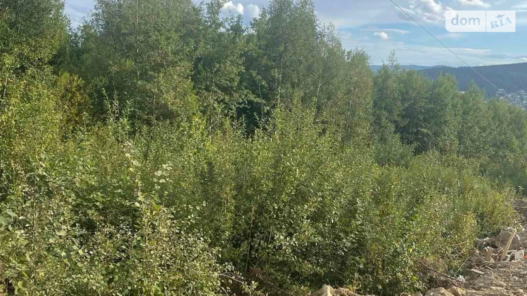 Сходница, цена: 2489066 грн - фото 2