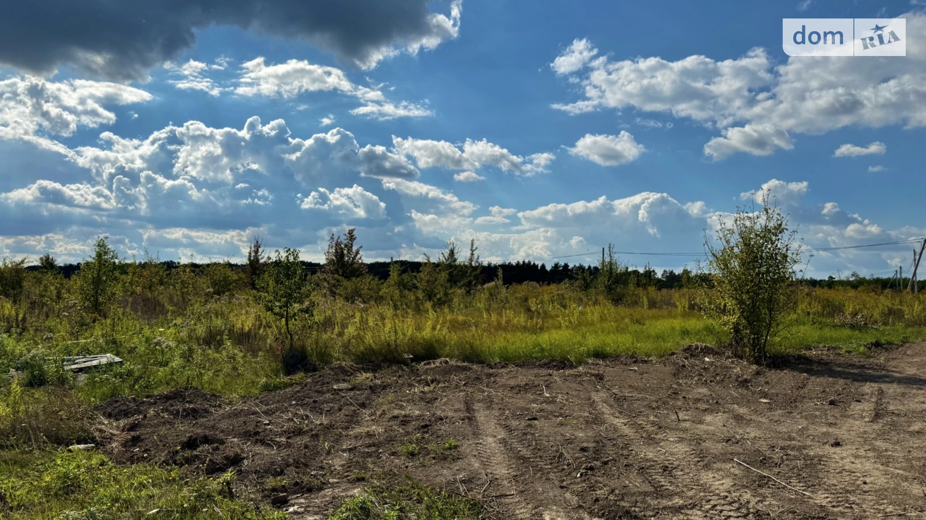 вул. Європейська Прибузьке (Шкуринці), цена: 56000 $ - фото 5
