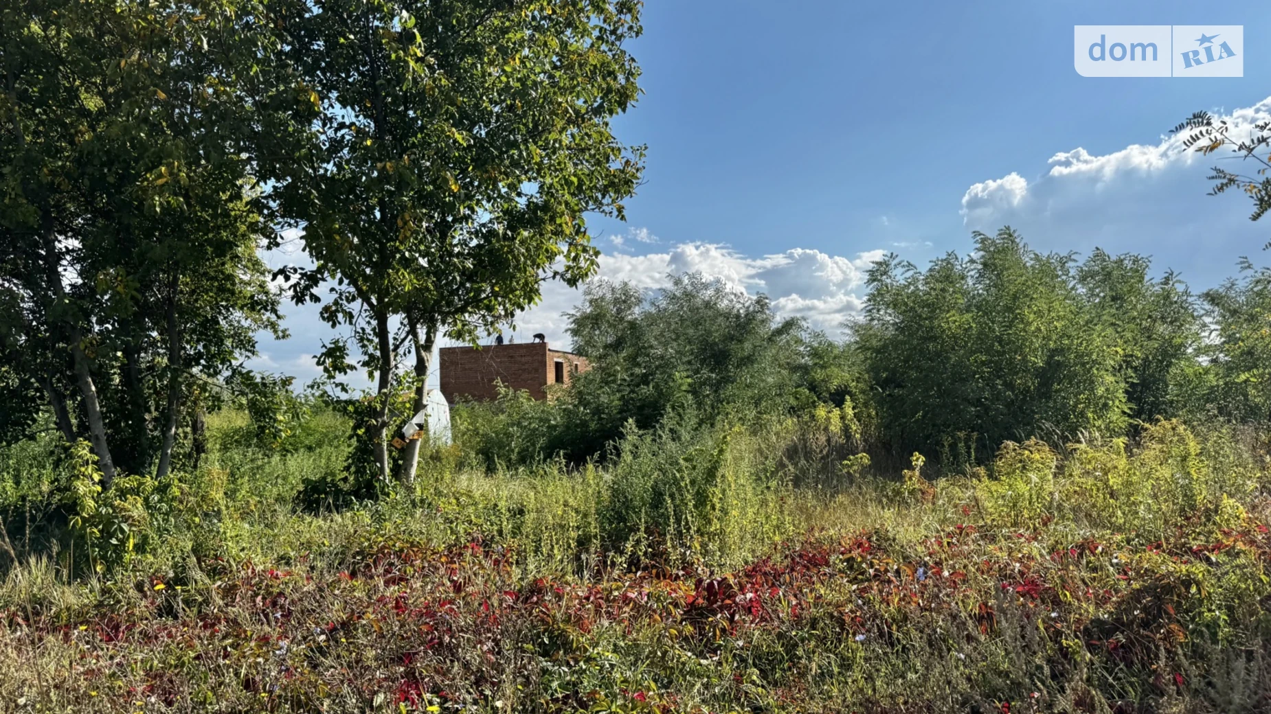 2-й пров. Лірницький Ленінський Вінниця, цена: 82000 $ - фото 2