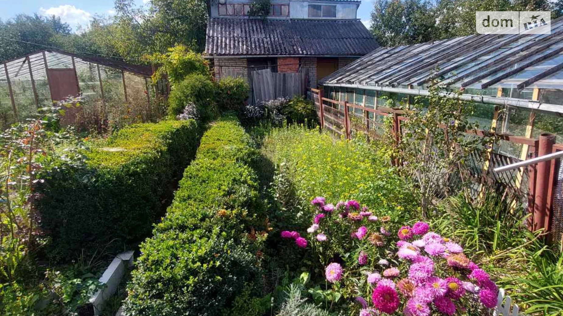 Продается одноэтажный дом 38.5 кв. м с участком, цена: 33000 $ - фото 4