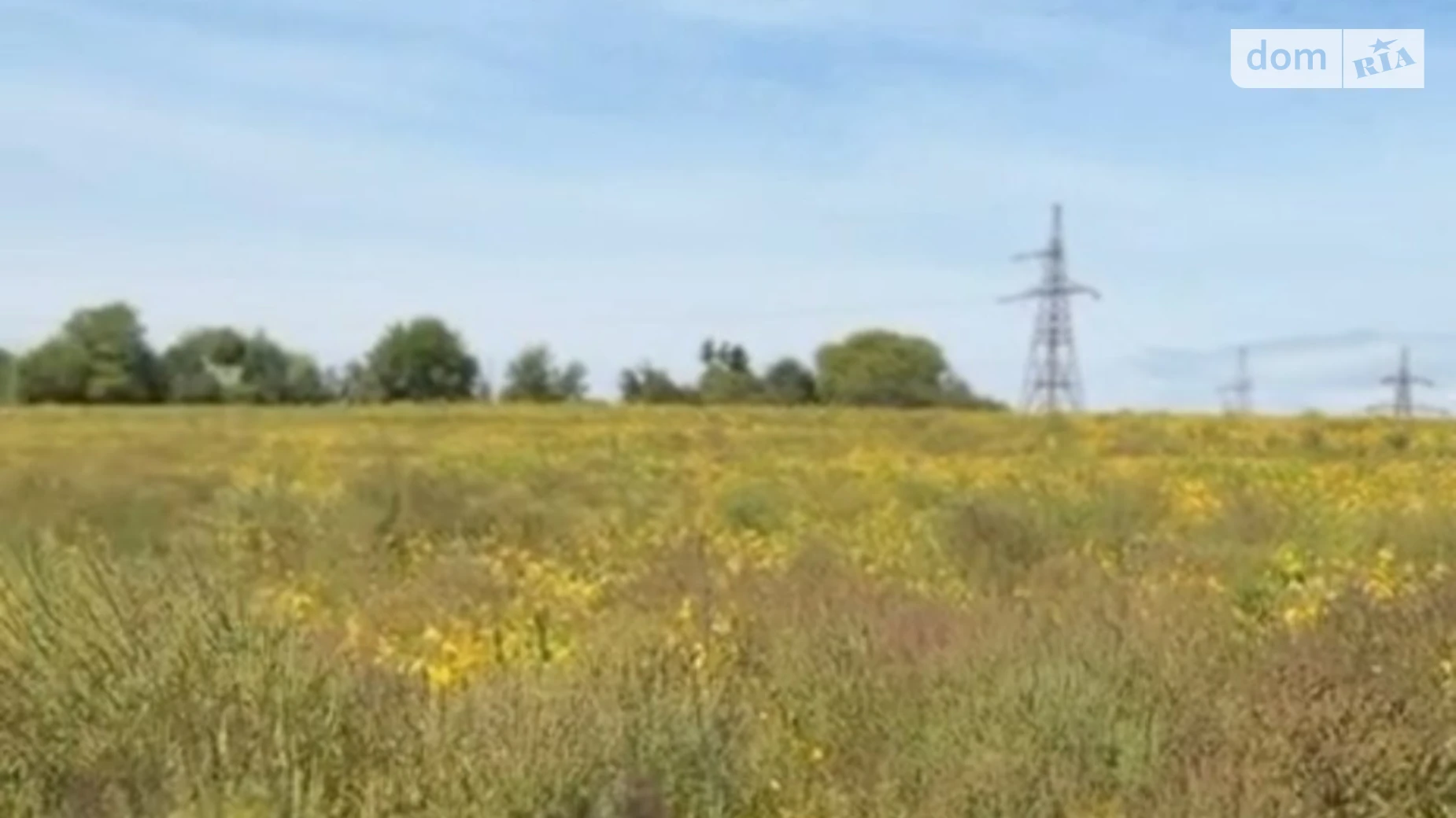 Продається земельна ділянка 59.09 соток у Чернівецькій області, цена: 150000 $ - фото 2