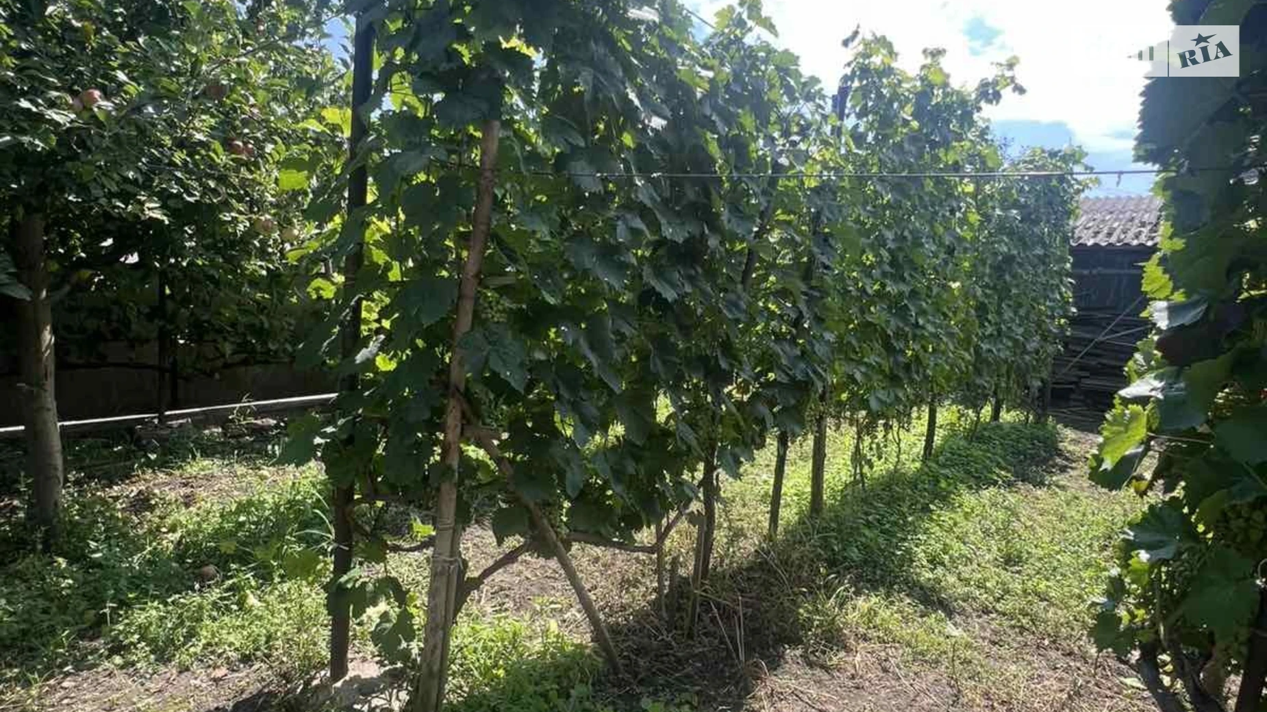 Продается одноэтажный дом 117.7 кв. м с участком, цена: 43000 € - фото 4