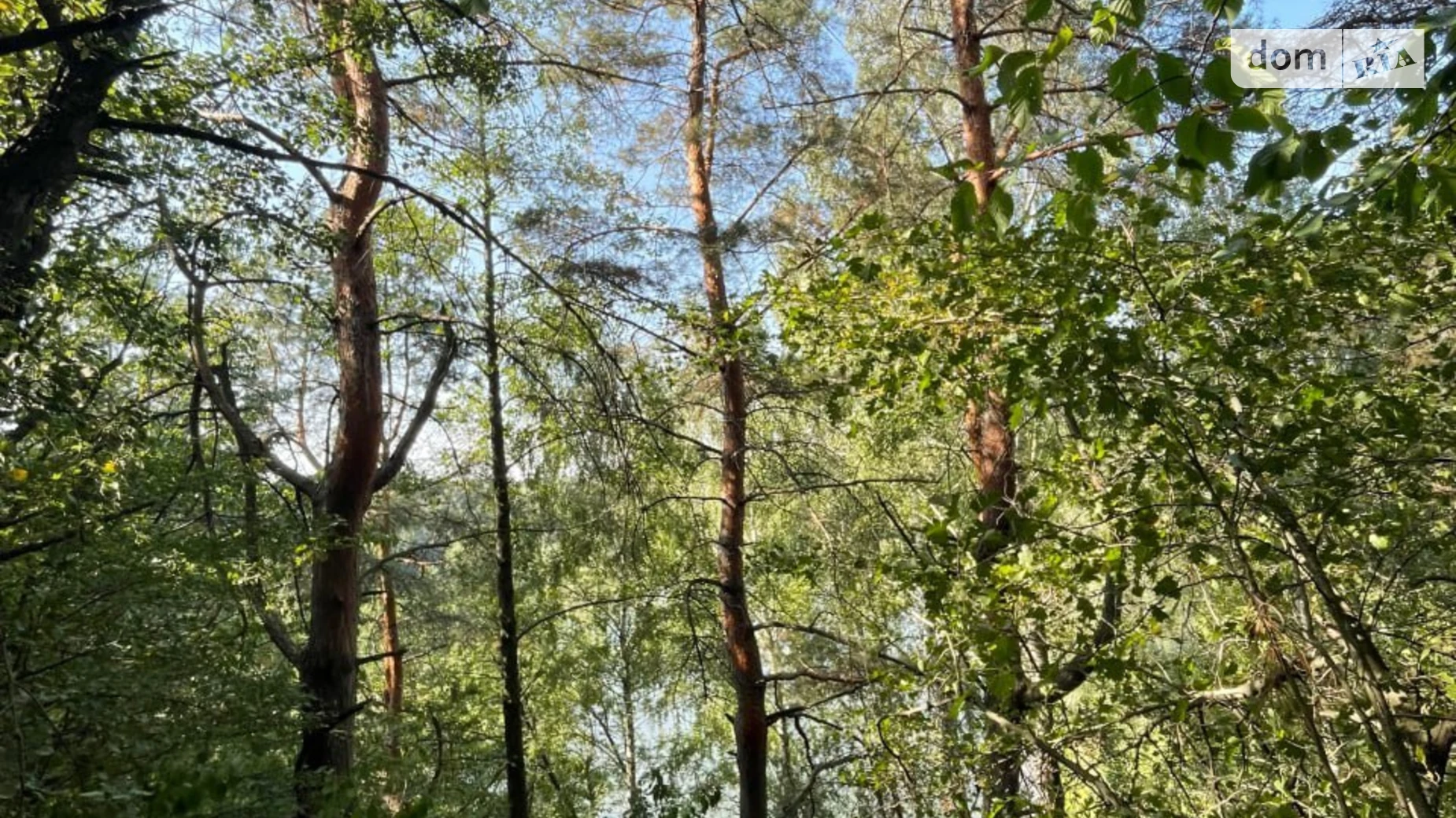 Продается земельный участок 15 соток в Киевской области, цена: 71500 $ - фото 4