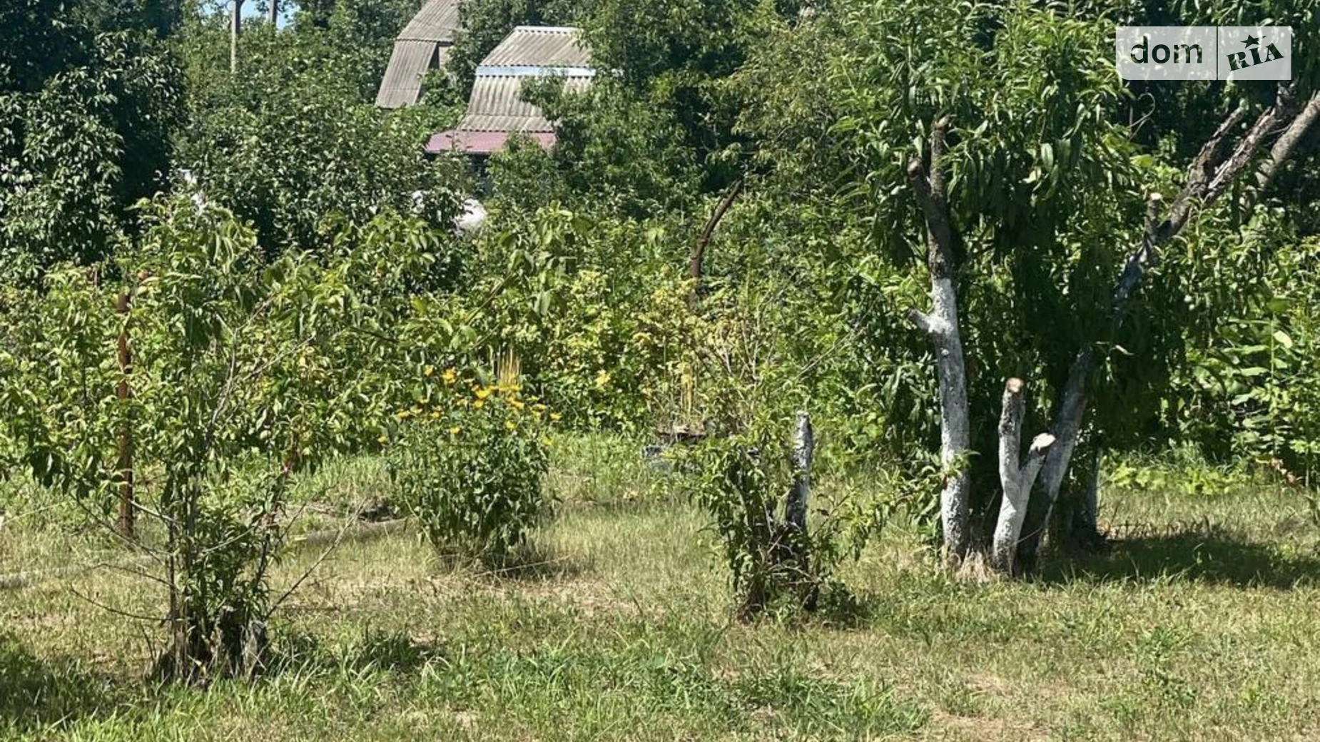 Продается одноэтажный дом 32 кв. м с камином, цена: 3500 $ - фото 5