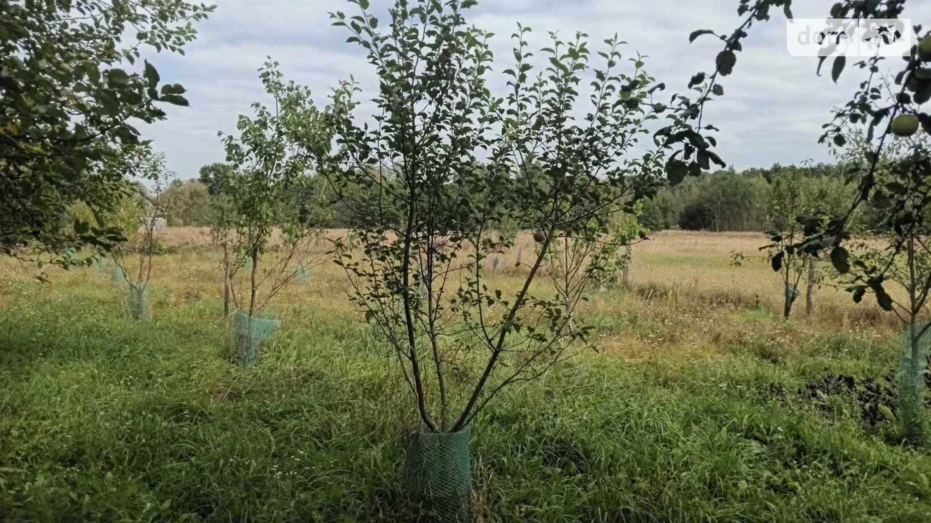 Продается одноэтажный дом 64.6 кв. м с верандой, цена: 8500 $ - фото 3