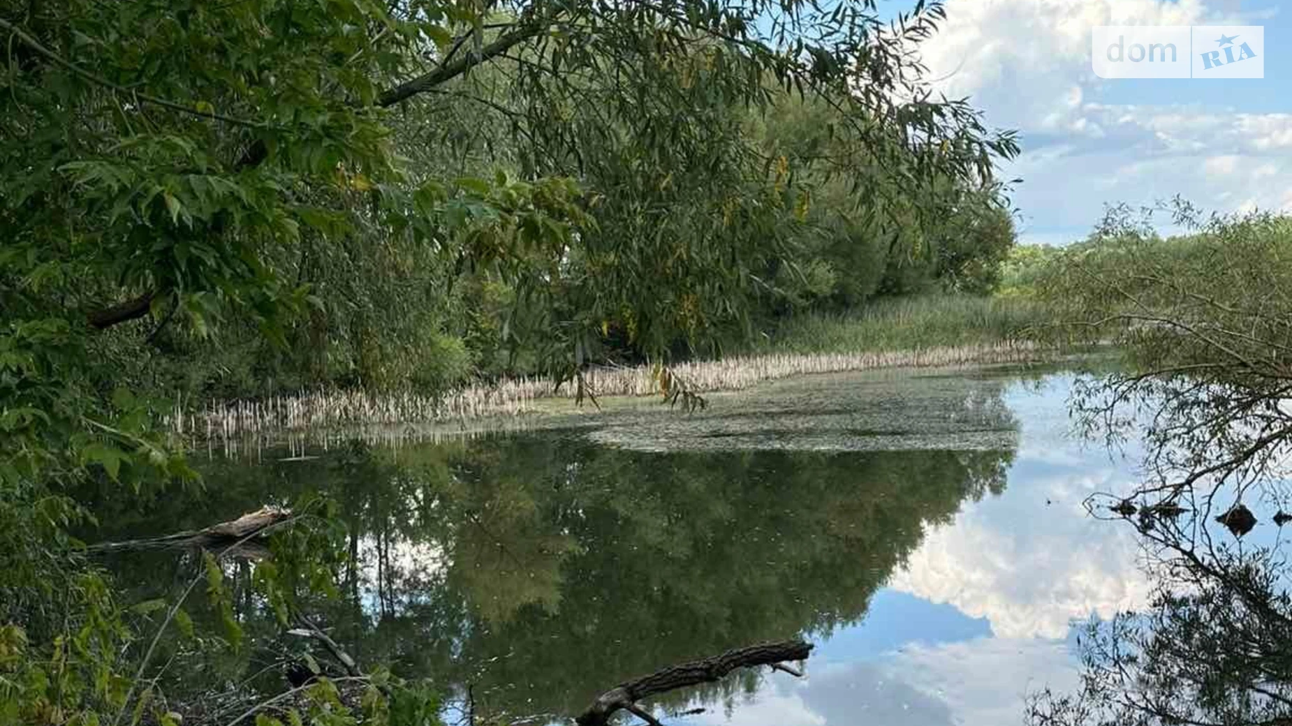 Сдается в аренду земельный участок 3 соток в Хмельницкой области, цена: 8497 грн - фото 3