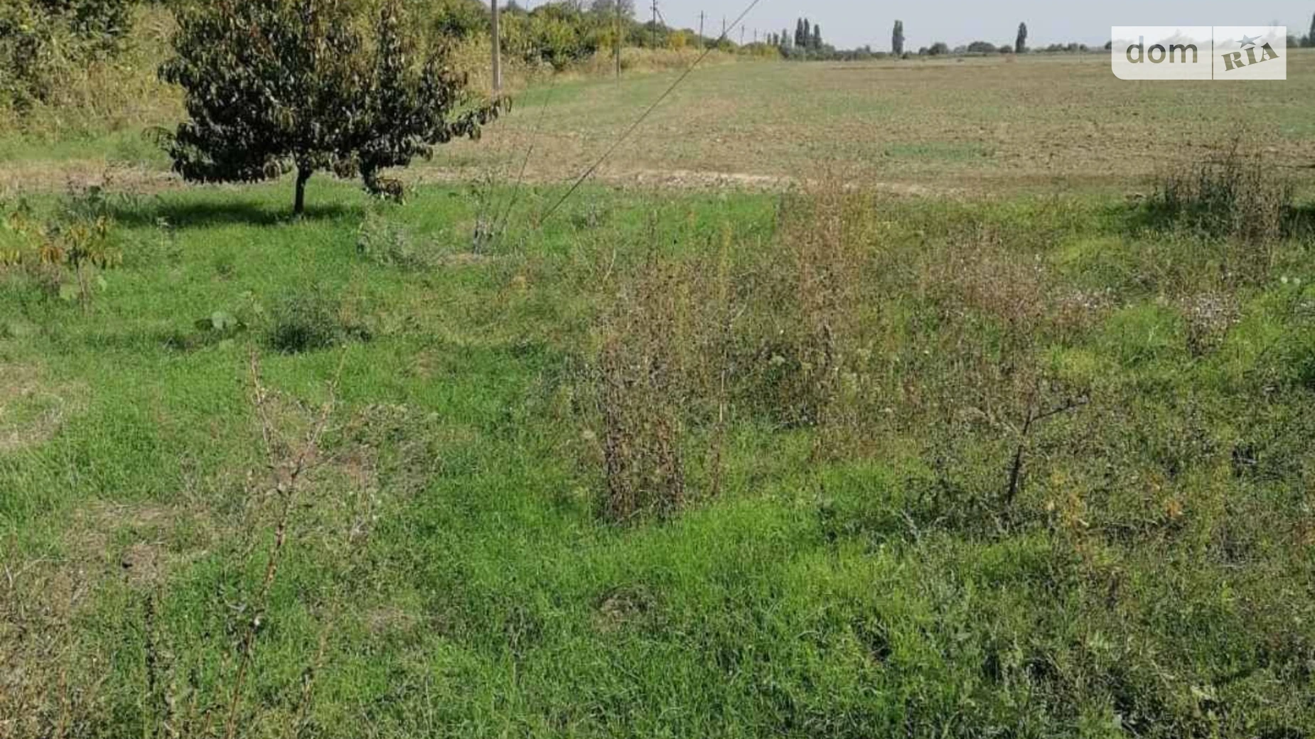 Здається в оренду земельна ділянка 6.1446 соток у Одеській області, цена: 15879 грн - фото 3
