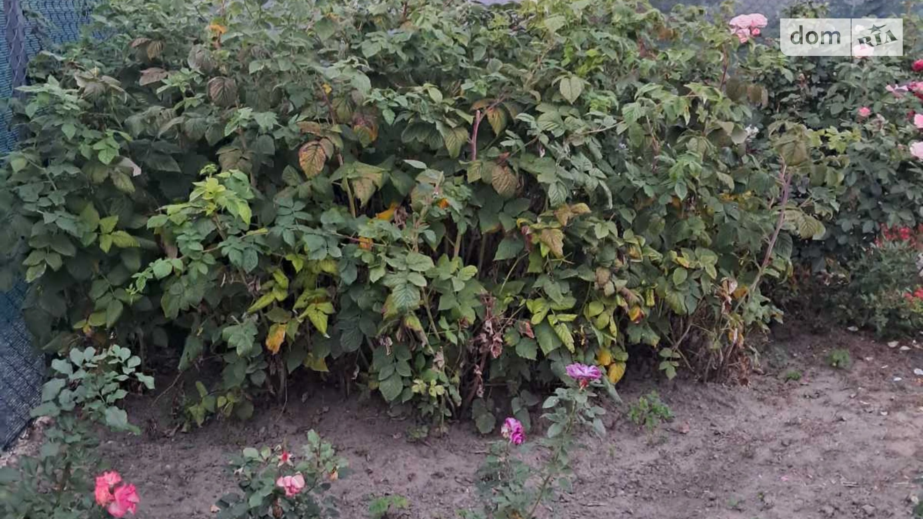 Продається частина будинку 60 кв. м з бесідкою, цена: 100000 $ - фото 3