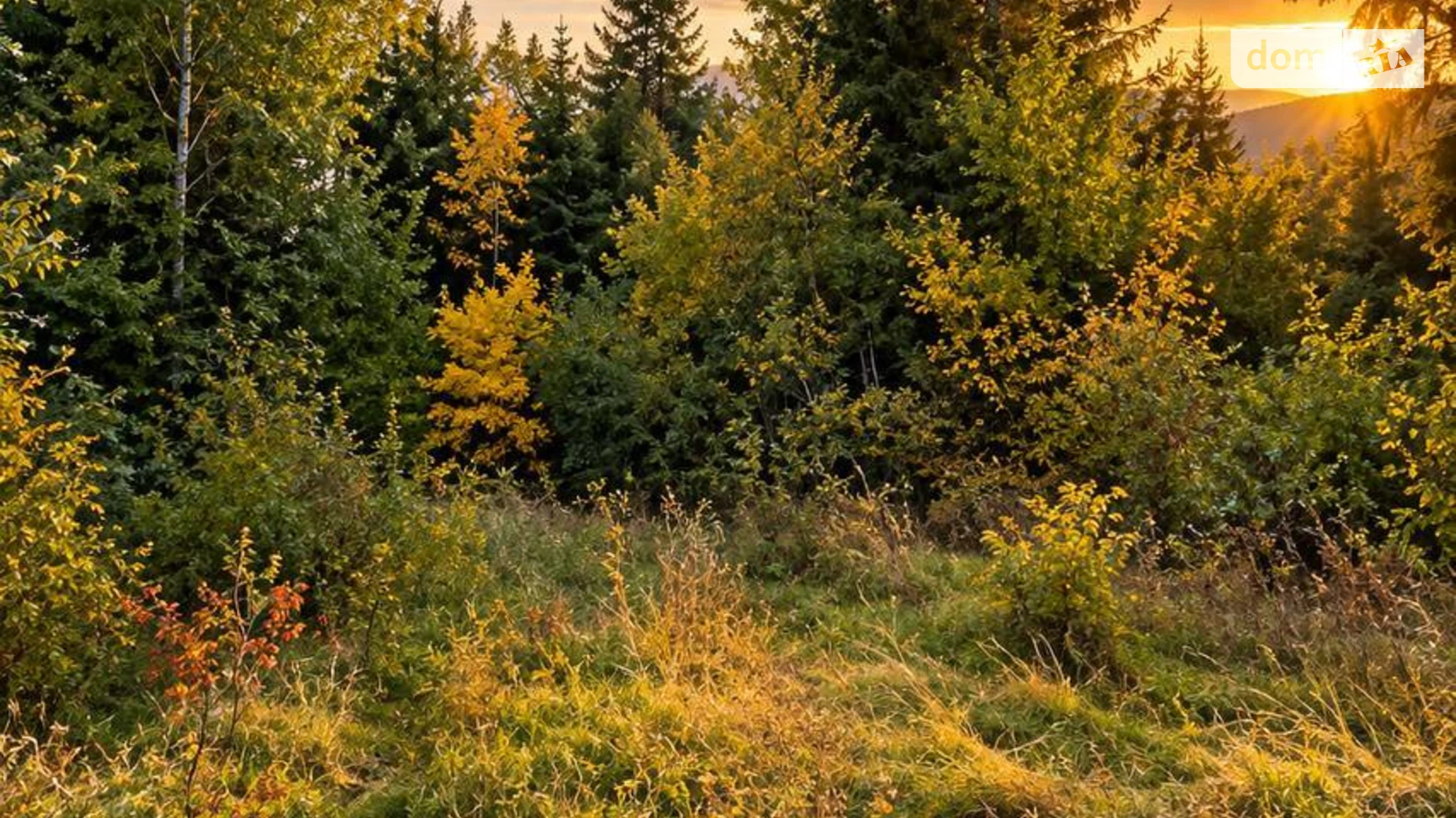 Продається земельна ділянка 50.2 соток у Івано-Франківській області, цена: 115500 $ - фото 2