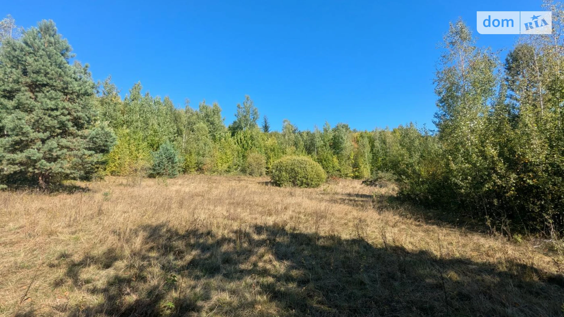 Продается земельный участок 10 соток в Ивано-Франковской области, цена: 10000 $ - фото 5
