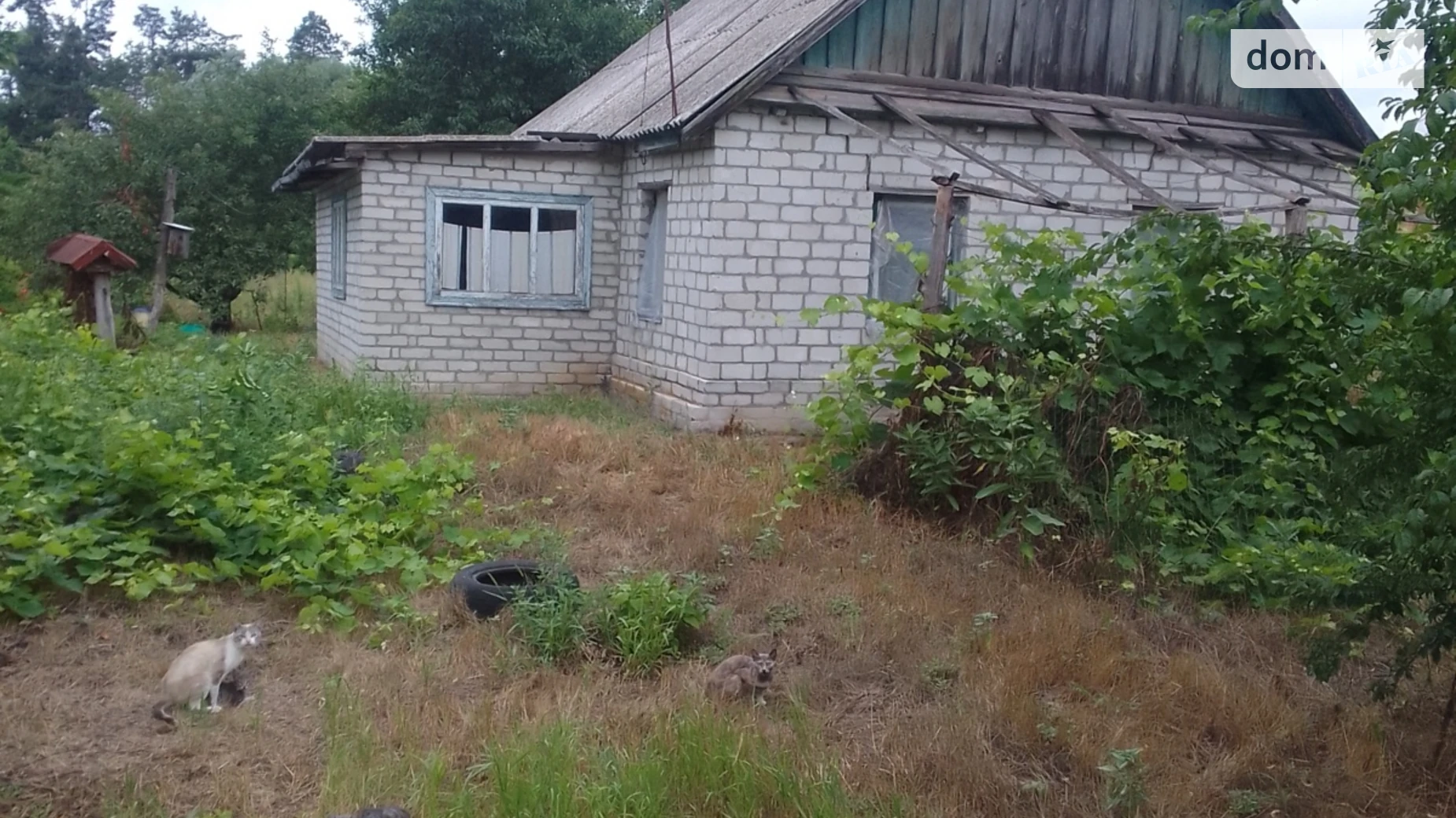 Здається в оренду одноповерховий будинок 37 кв. м з гаражем, цена: 4000 грн - фото 4