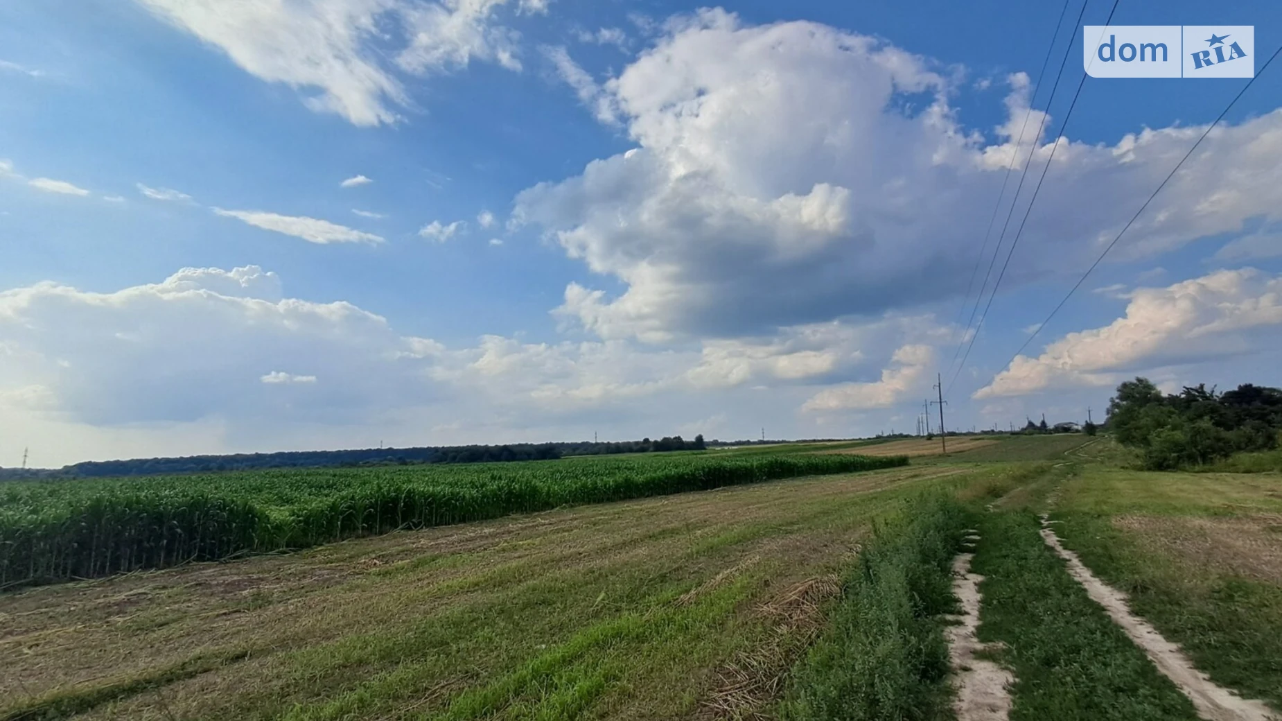 Продается земельный участок 11.45 соток в Львовской области, цена: 4300 $ - фото 3
