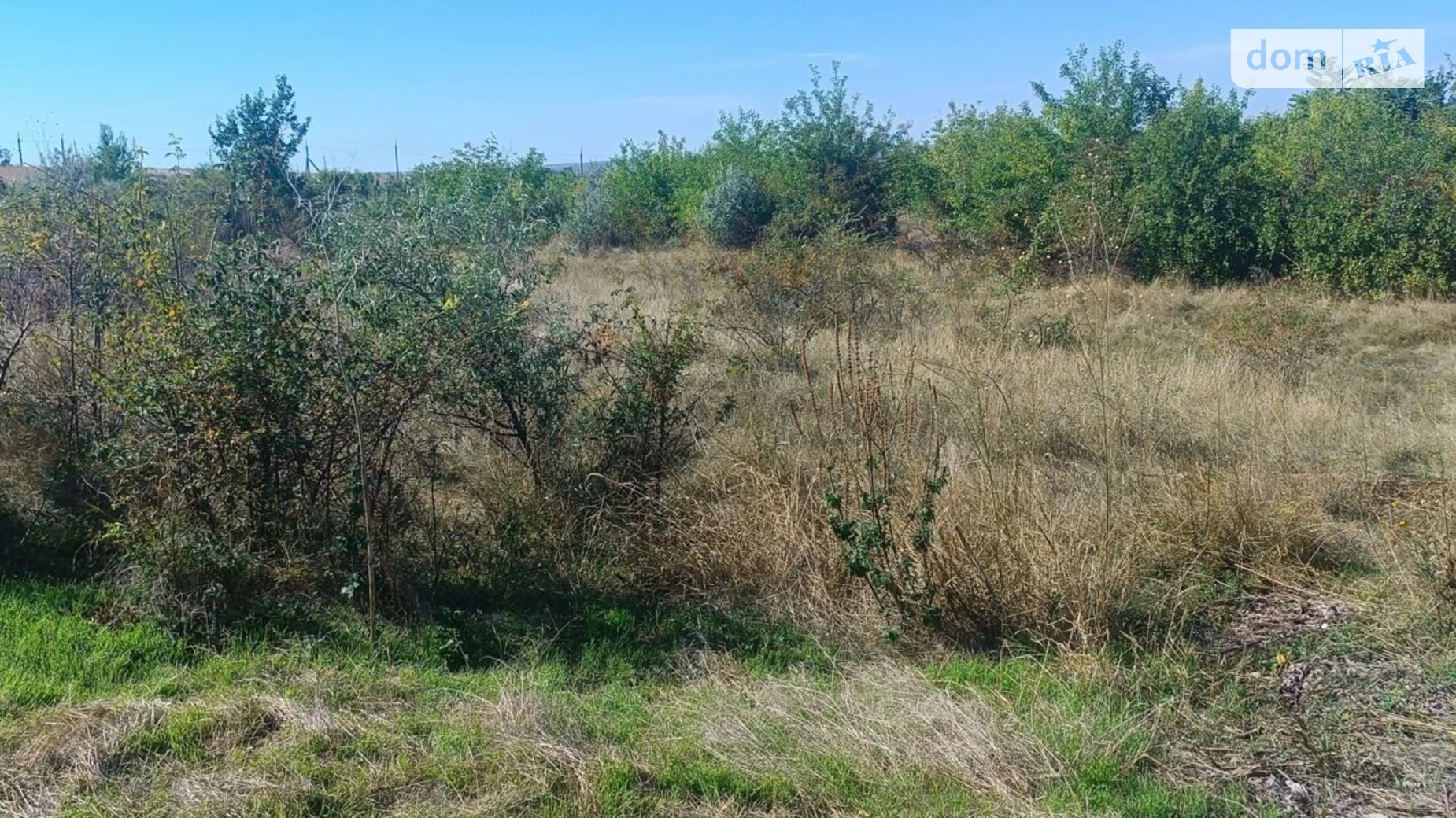 Здається в оренду земельна ділянка 0.9278 соток у Одеській області, цена: 13495 грн - фото 3