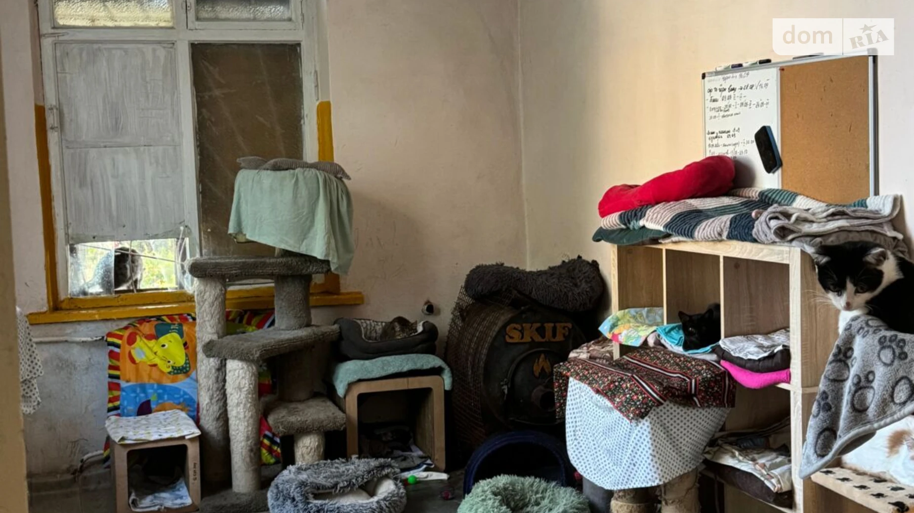 Здається в оренду об'єкт сфери послуг 56.5 кв. м в 1-поверховій будівлі, цена: 588 грн - фото 4