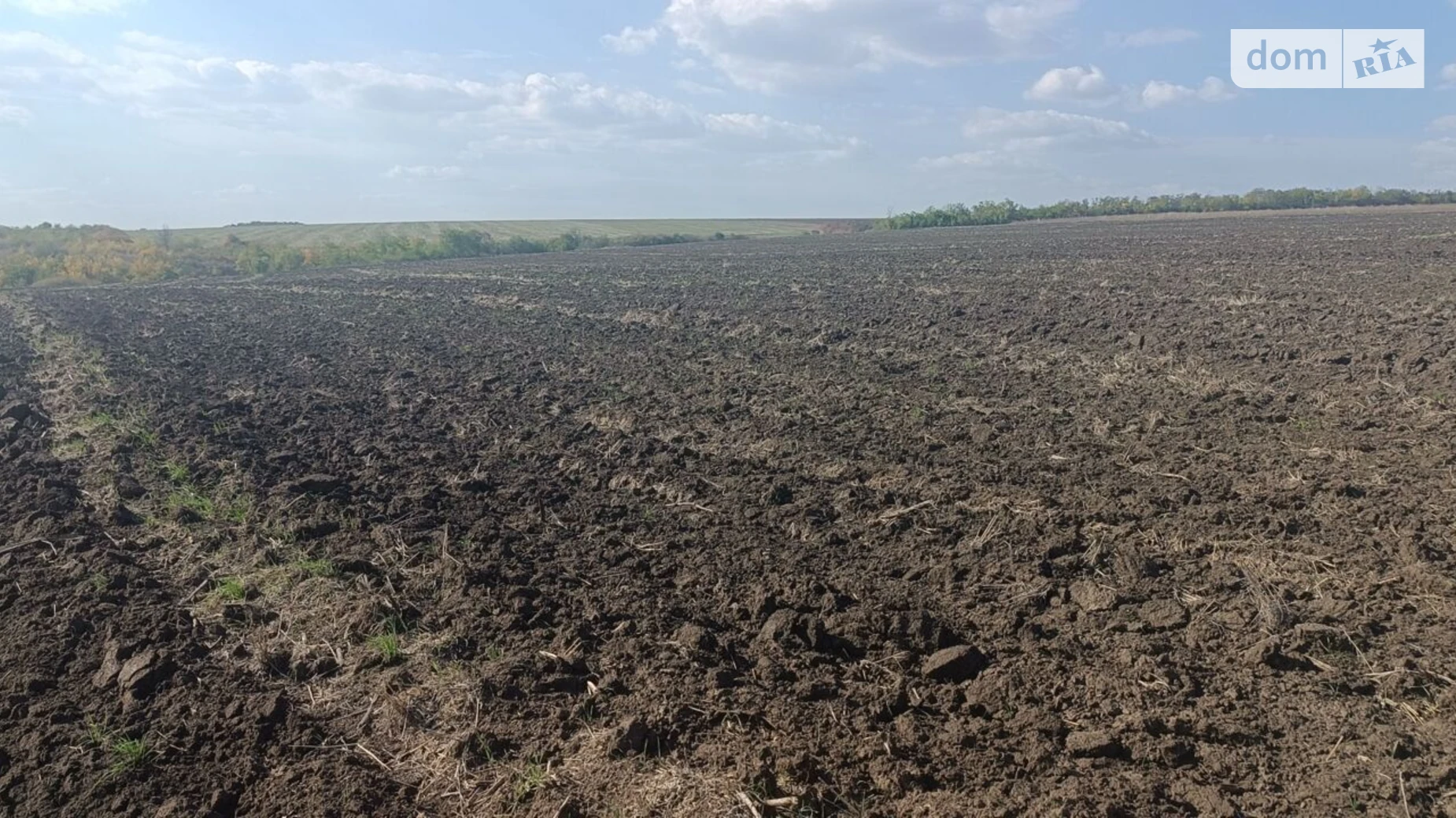 Здається в оренду земельна ділянка 7.8333 соток у Одеській області, цена: 38752 грн - фото 4