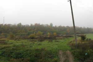 Продается земельный участок 150 соток в Закарпатской области