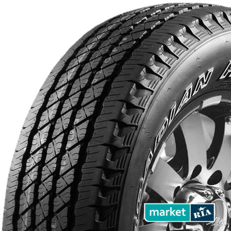 Летние шины  Roadstone Roadian HT SUV (265/65R17 110S): фото